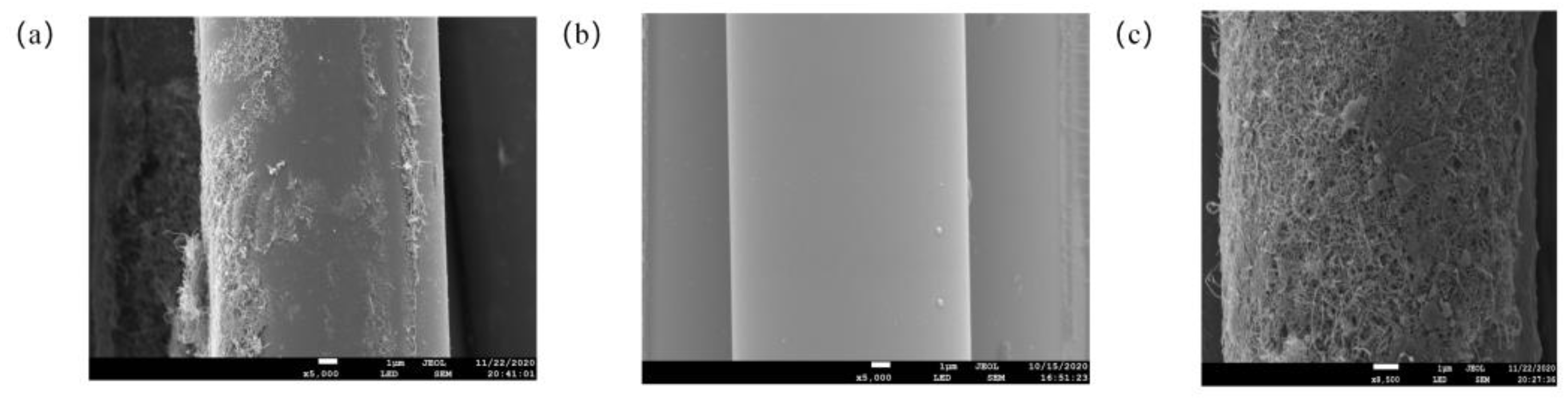 Materials 16 04015 g004