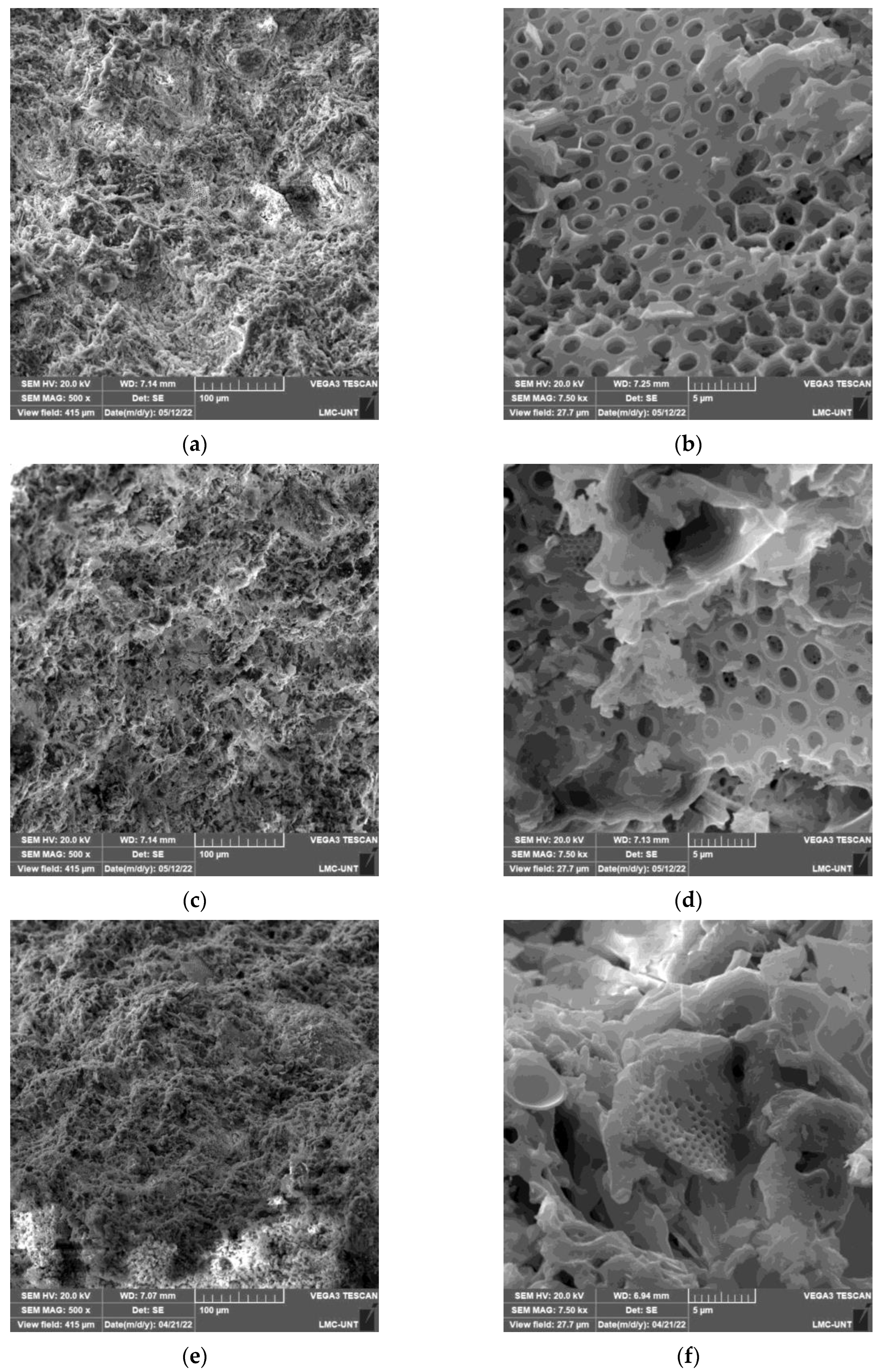 Materials 16 04028 g006a Materials 16 04028 g006a