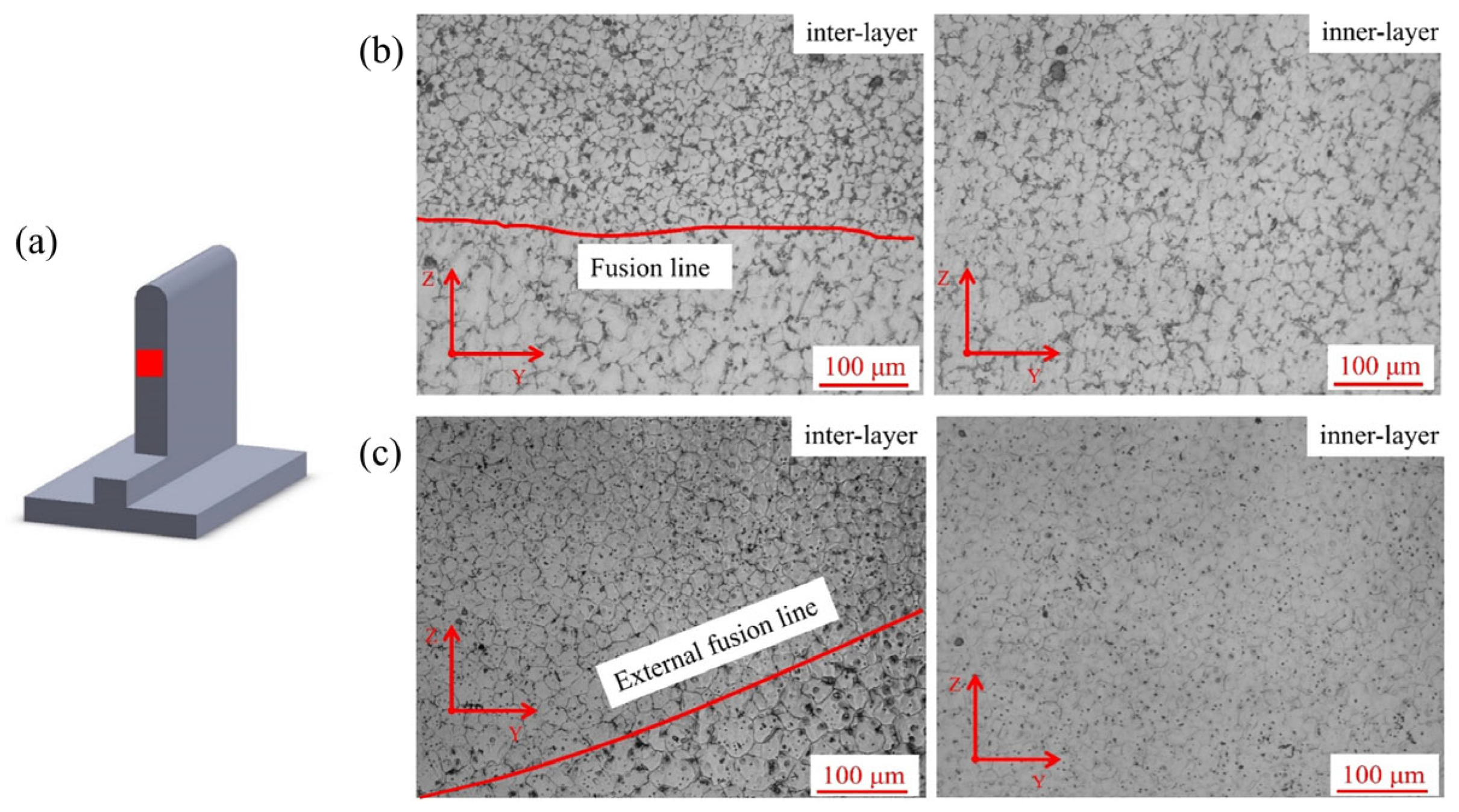 Materials 16 04047 g005