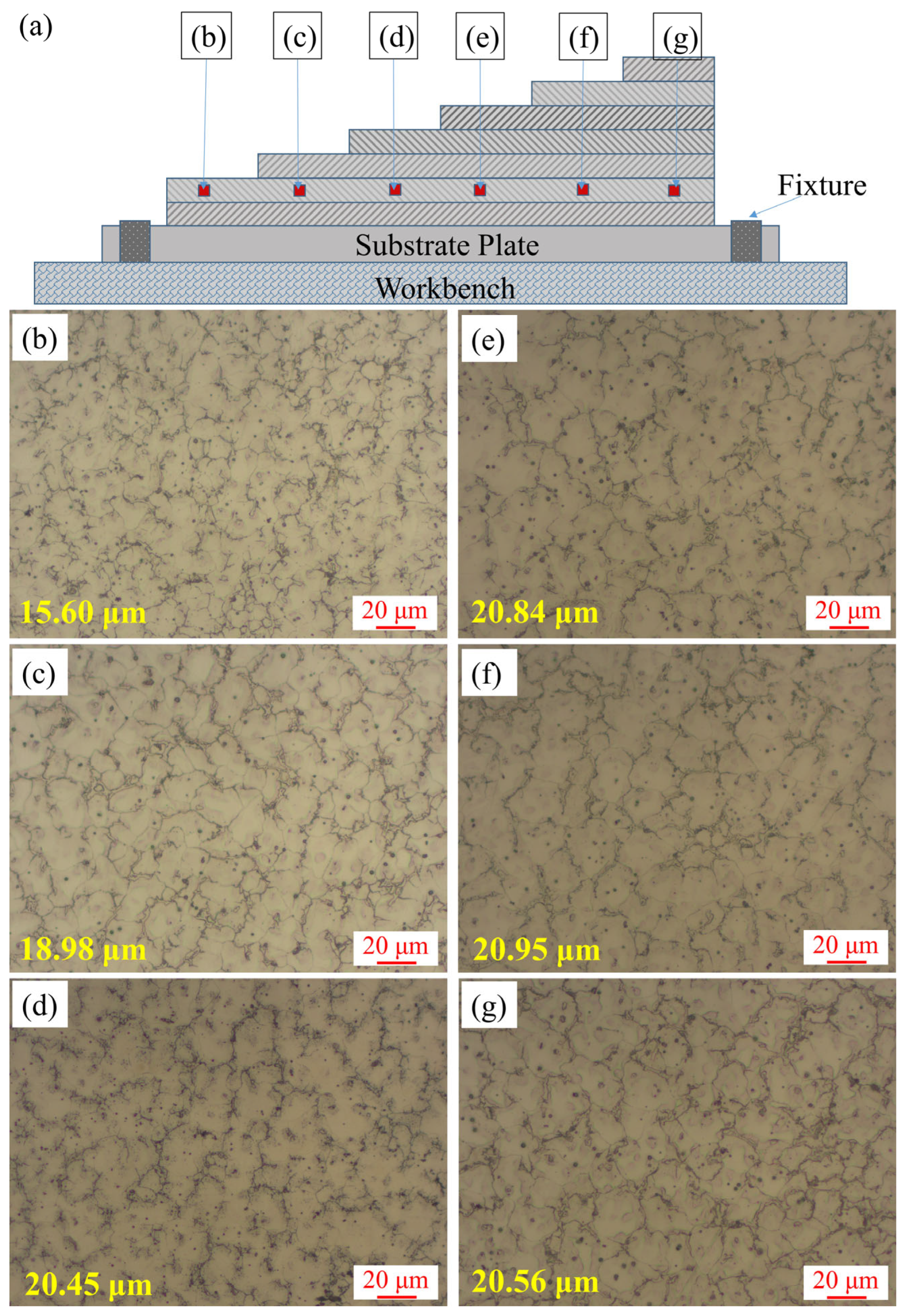 Materials 16 04047 g009