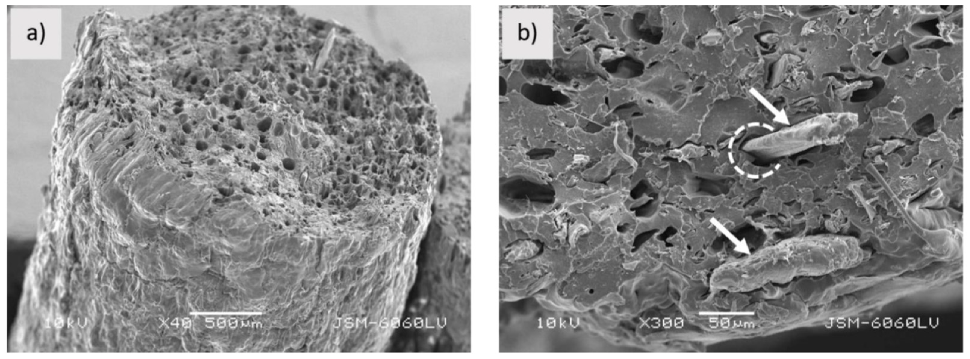 Materials 16 04052 g009