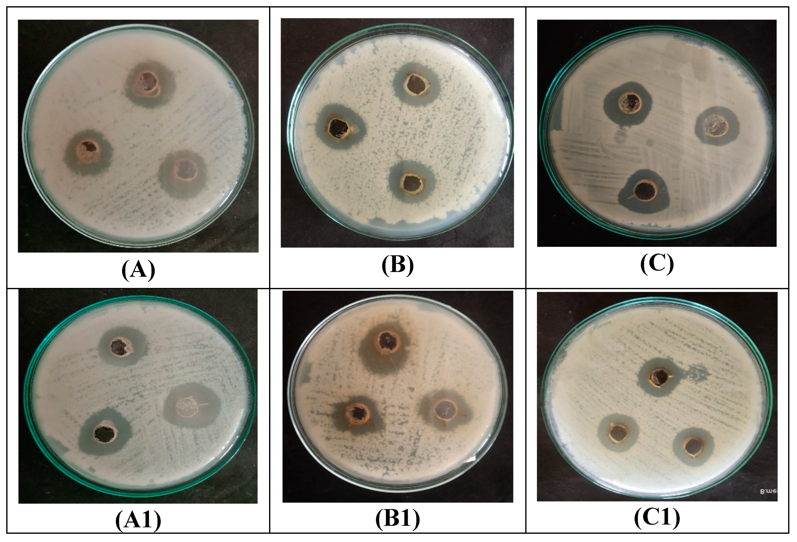 Materials 16 04058 g006a Materials 16 04058 g006a