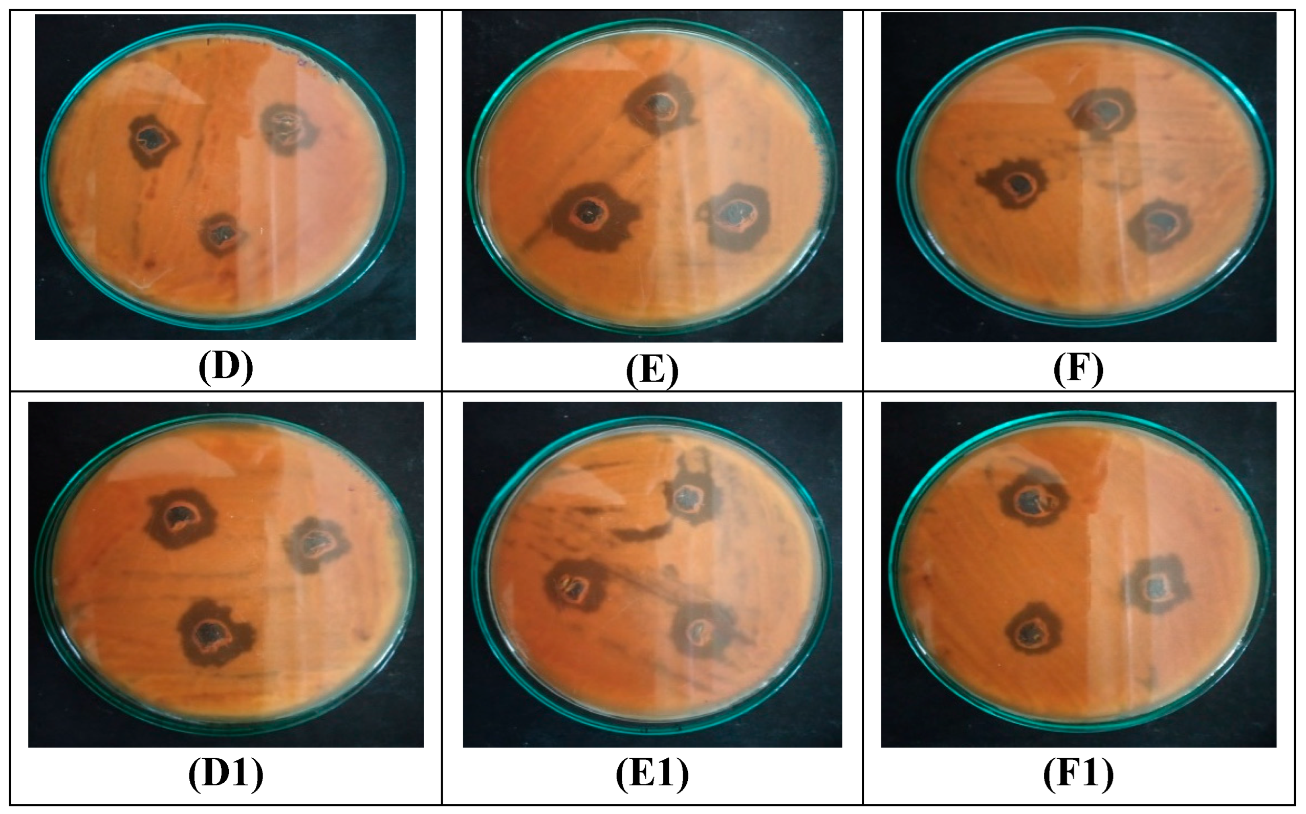 Materials 16 04058 g006b Materials 16 04058 g006b