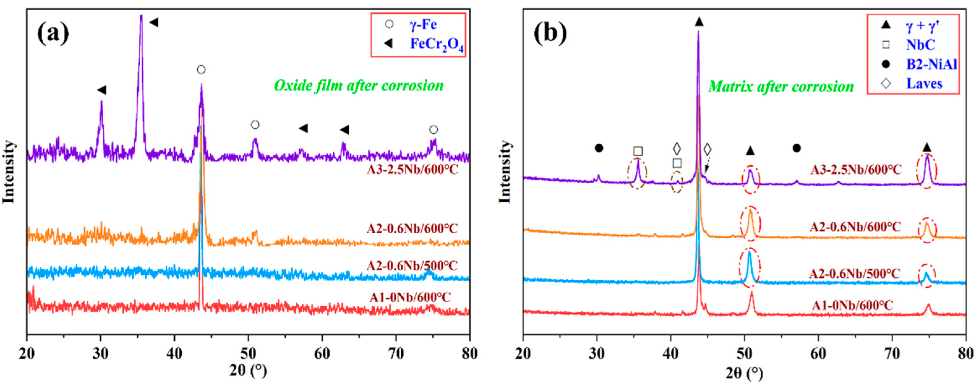 Materials 16 04081 g006