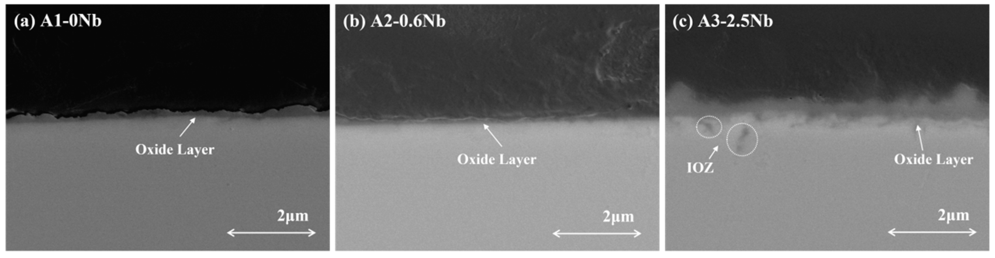 Materials 16 04081 g007