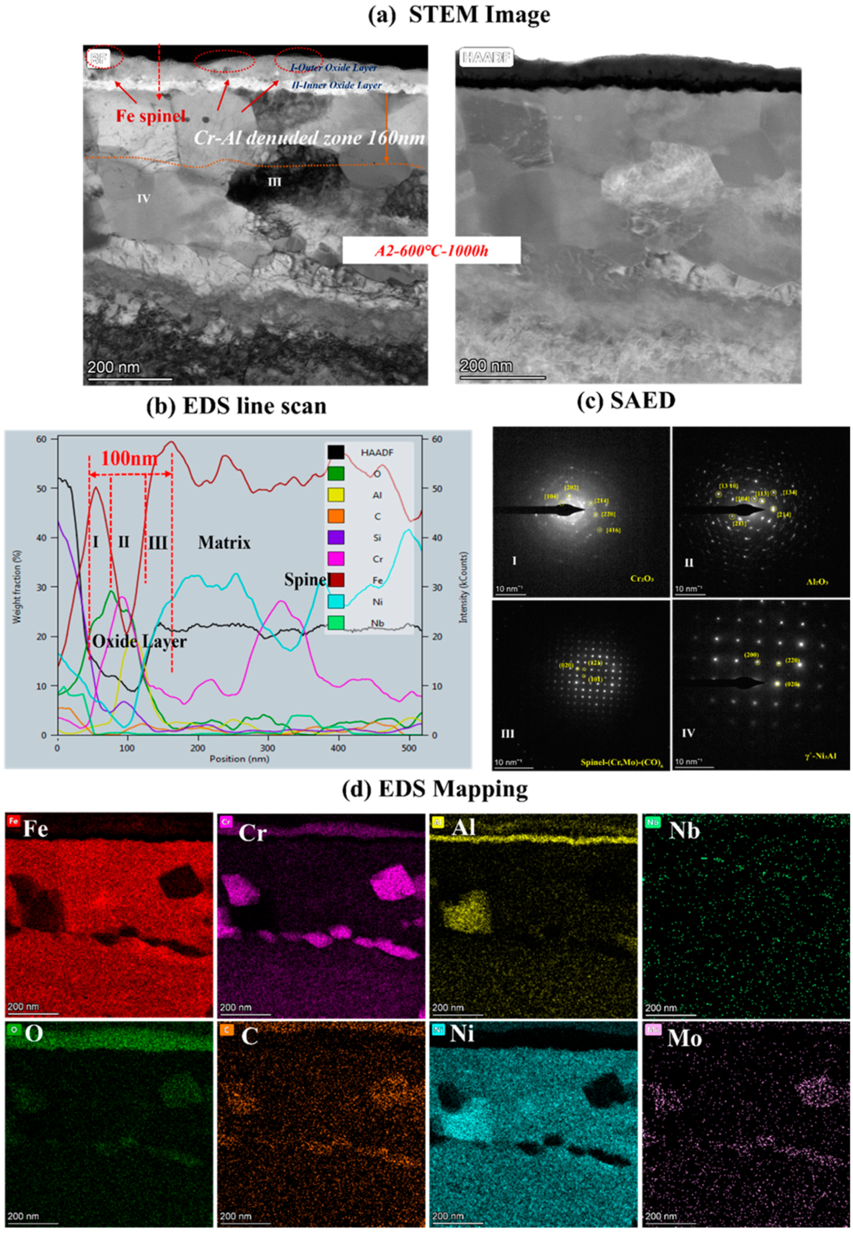 Materials 16 04081 g008