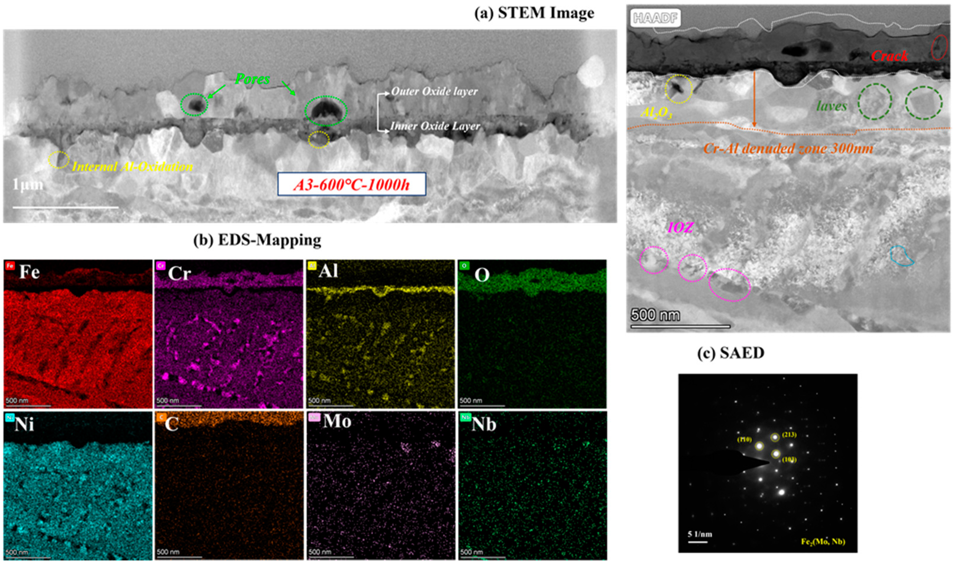 Materials 16 04081 g010