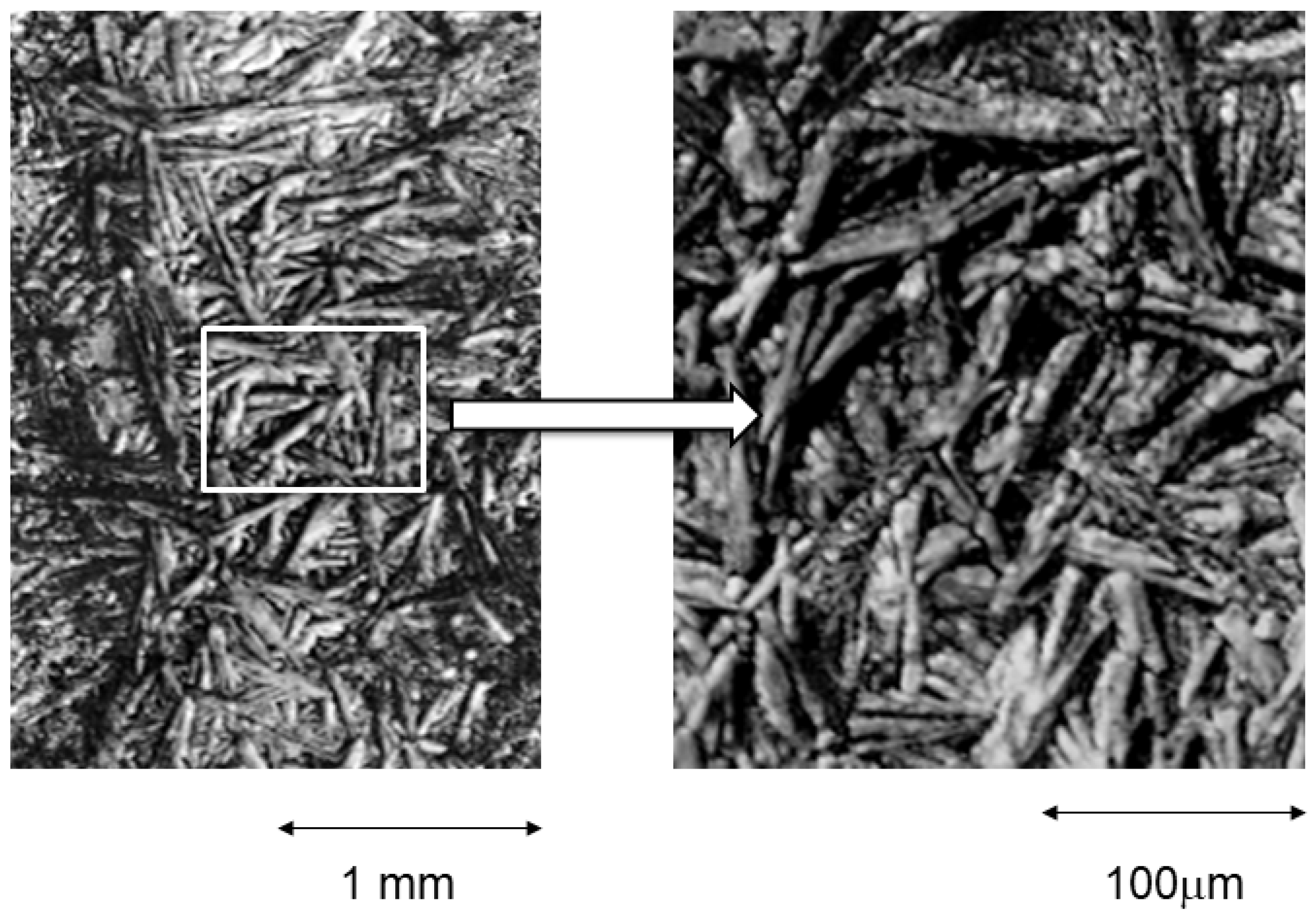 Materials 16 04089 g004