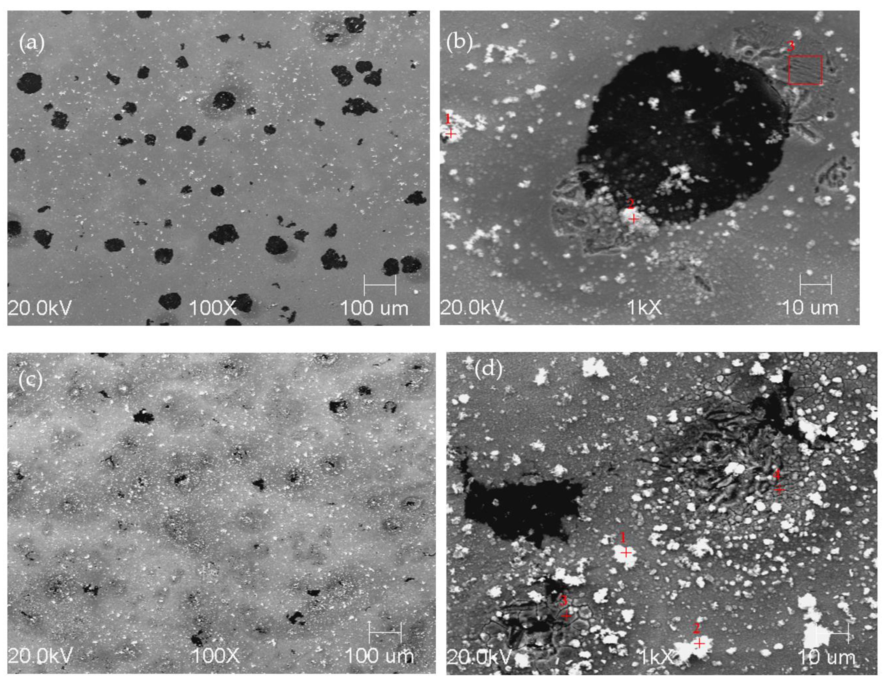 Materials 16 04107 g019