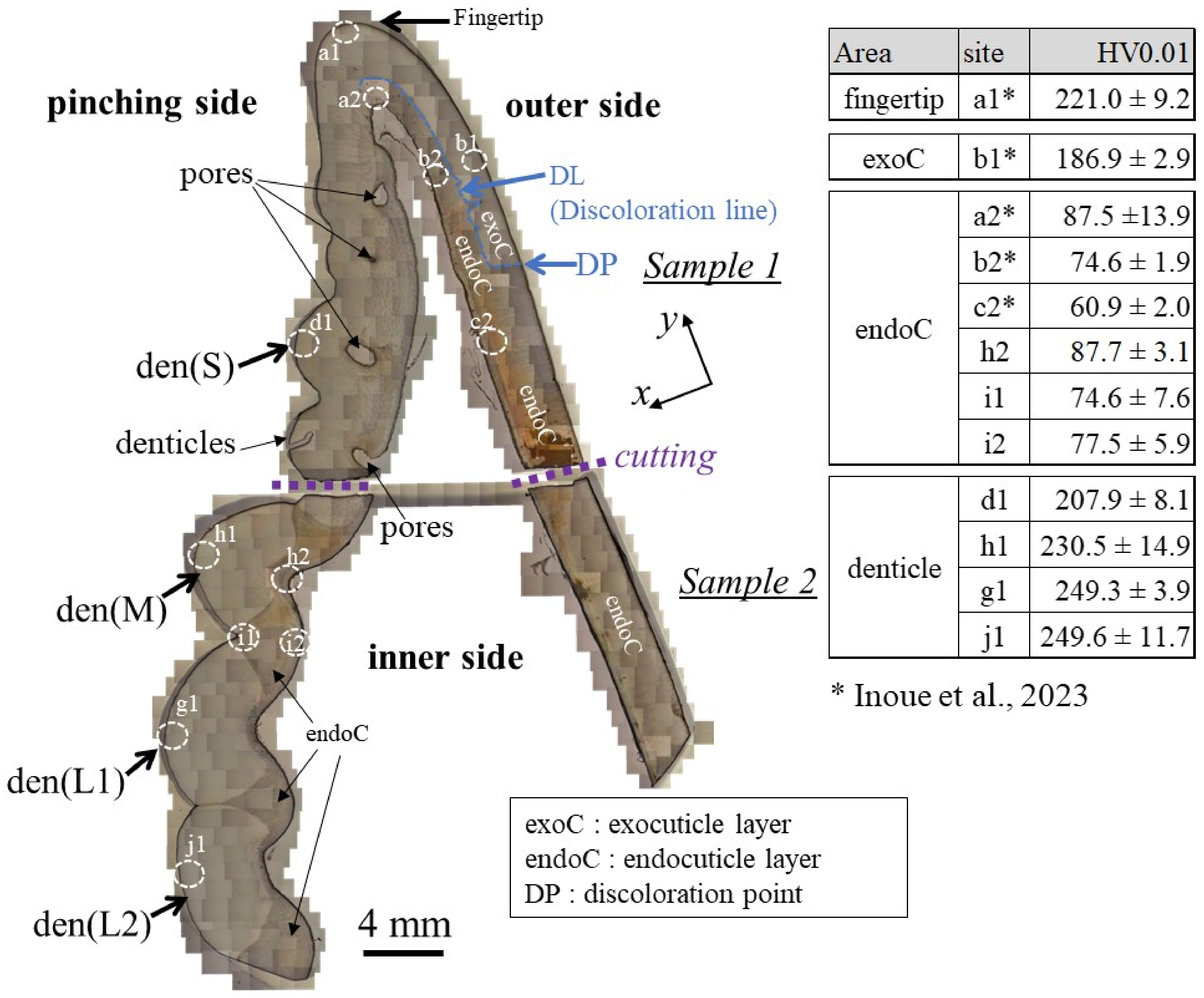 Materials 16 04114 g002