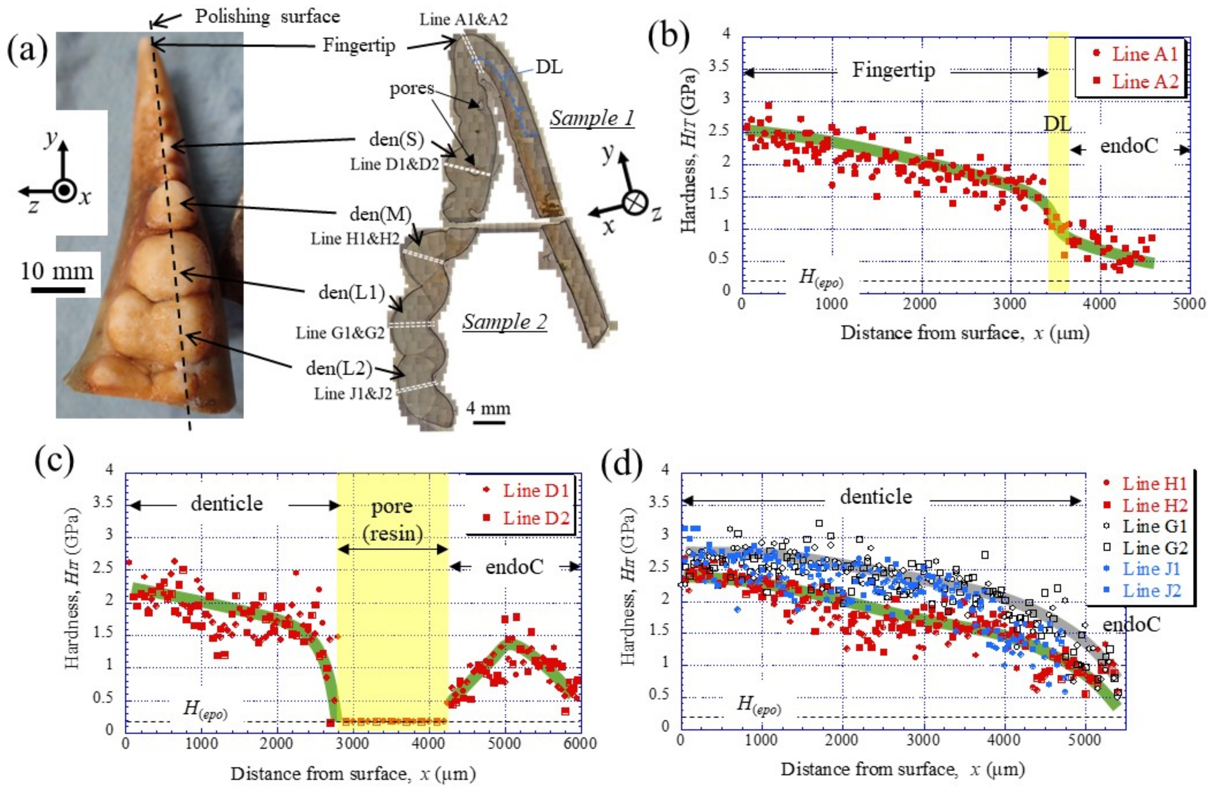 Materials 16 04114 g003