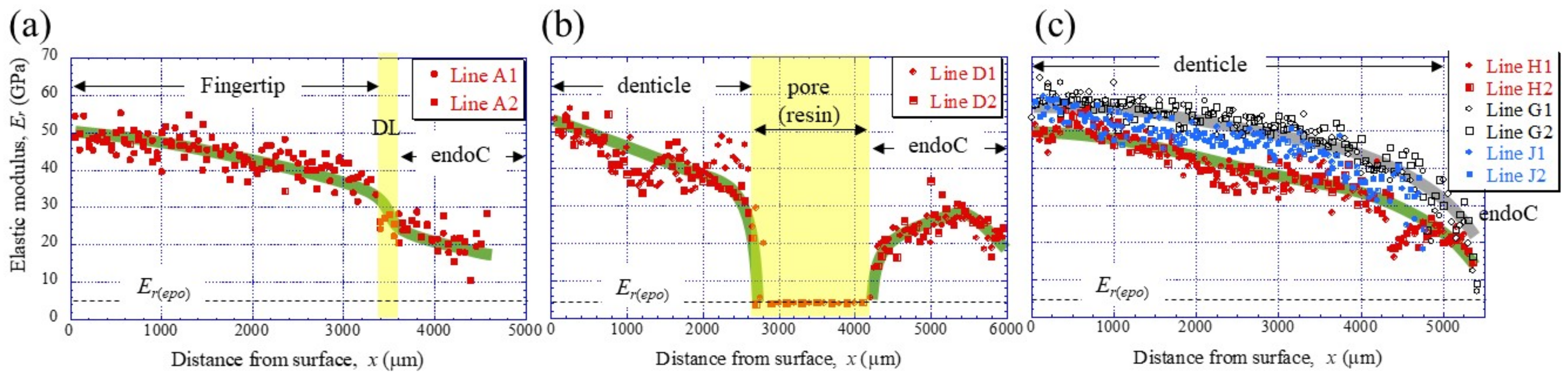 Materials 16 04114 g004