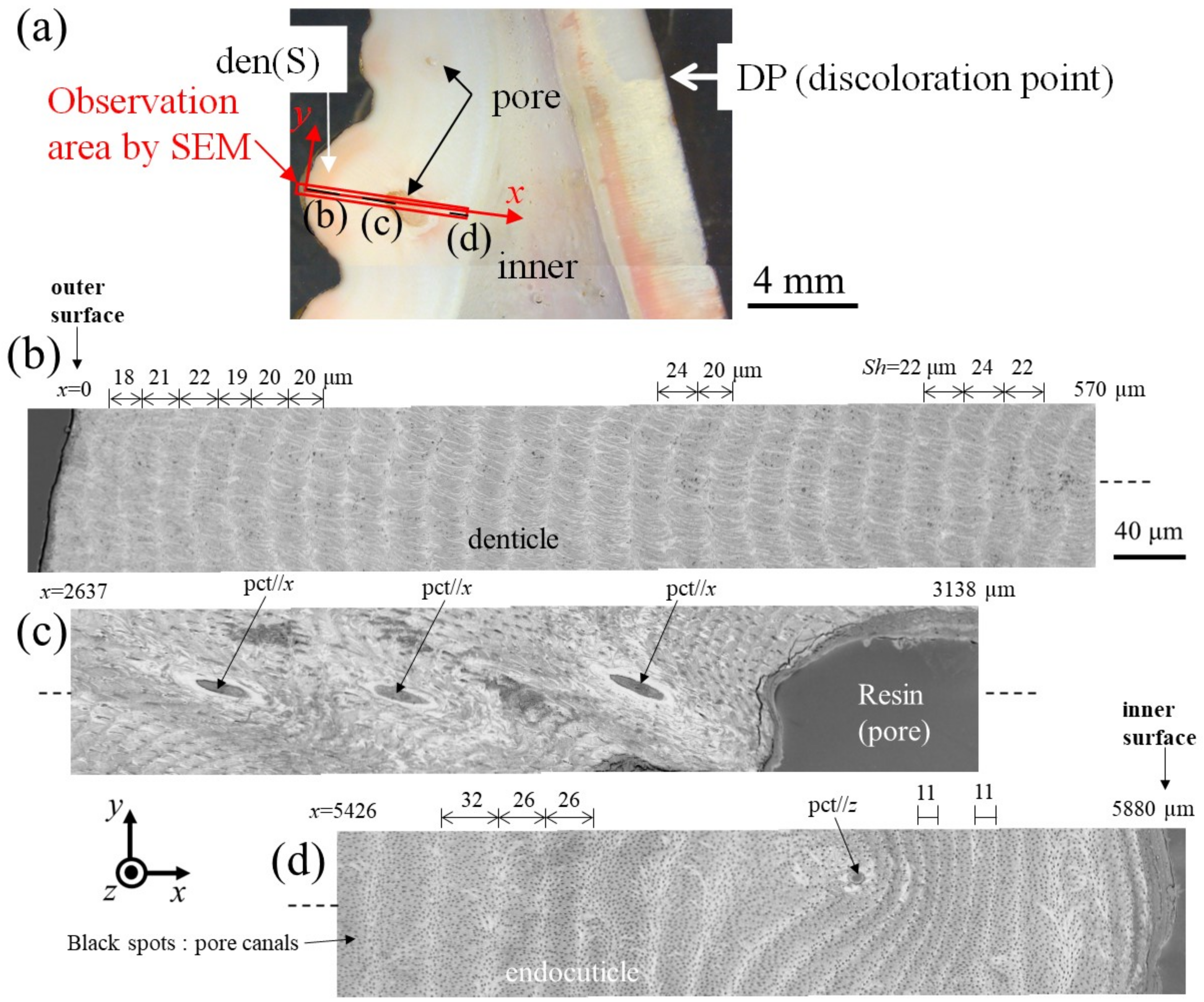 Materials 16 04114 g006