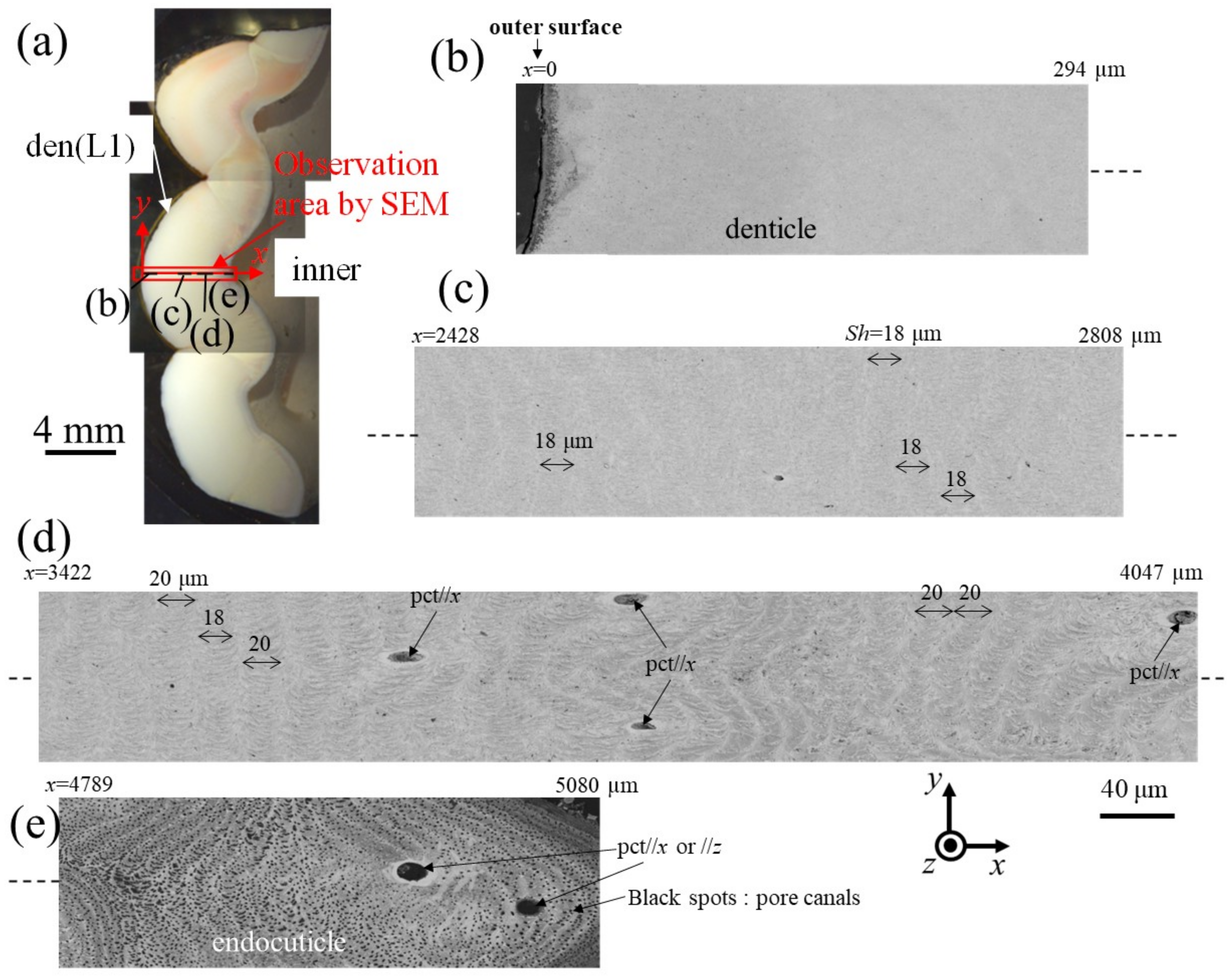 Materials 16 04114 g007