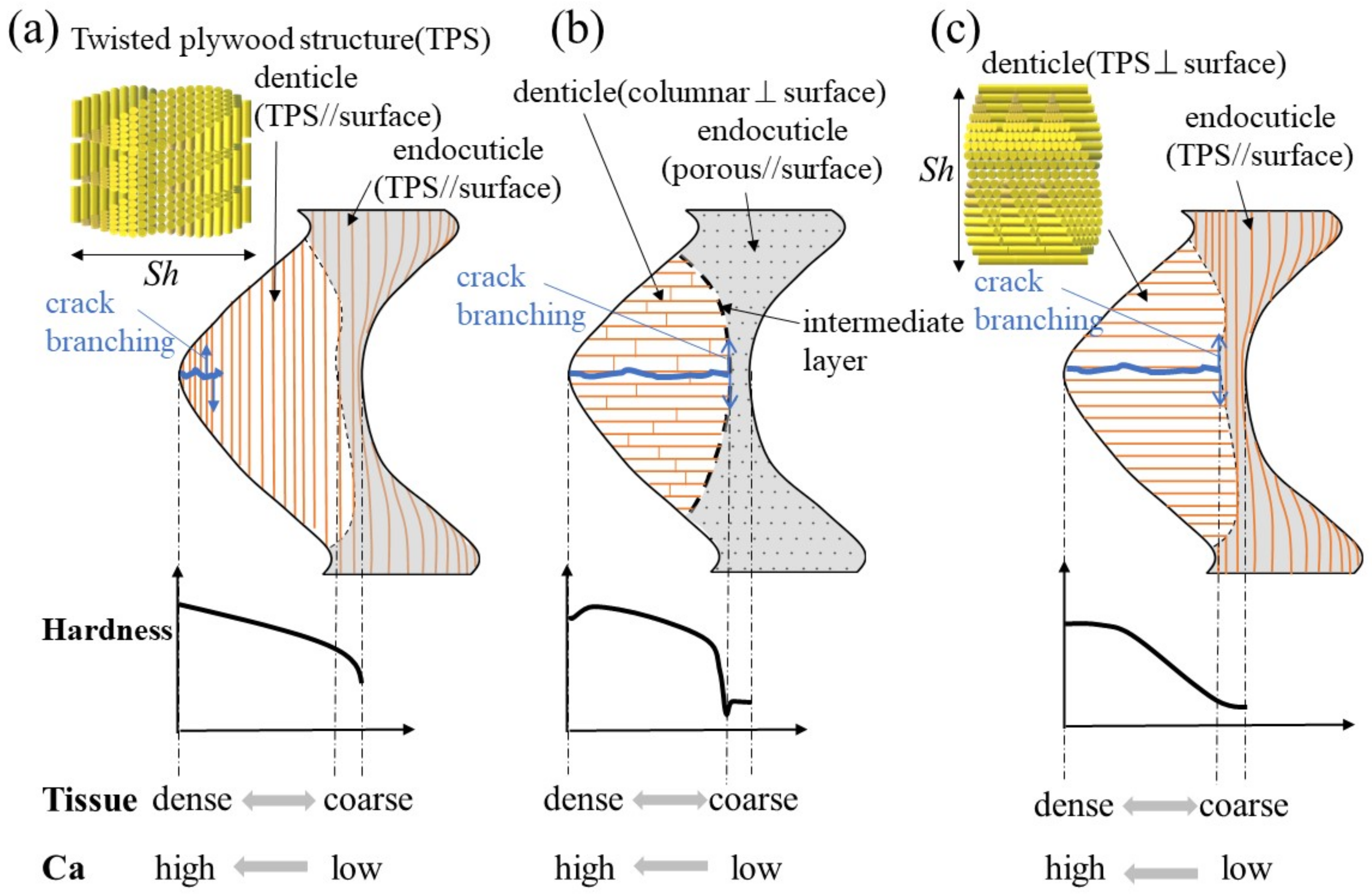 Materials 16 04114 g008