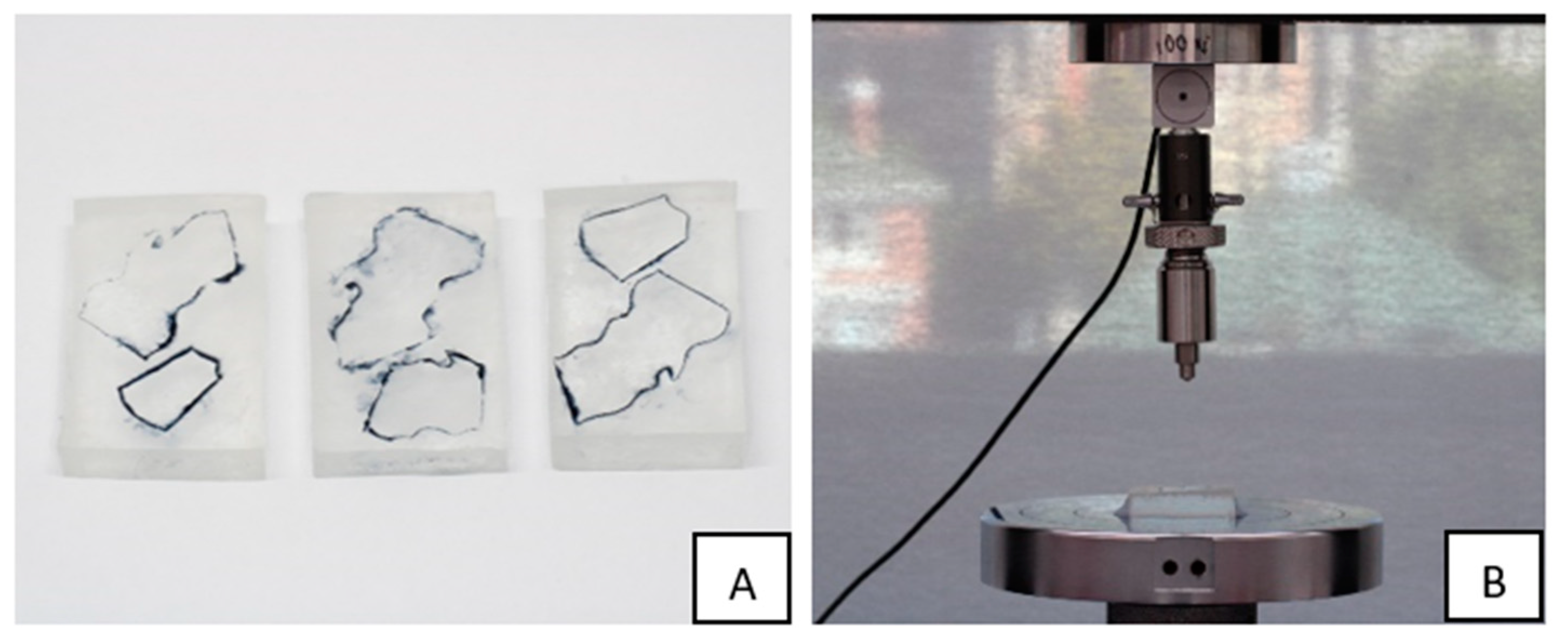 Materials 16 04125 g003