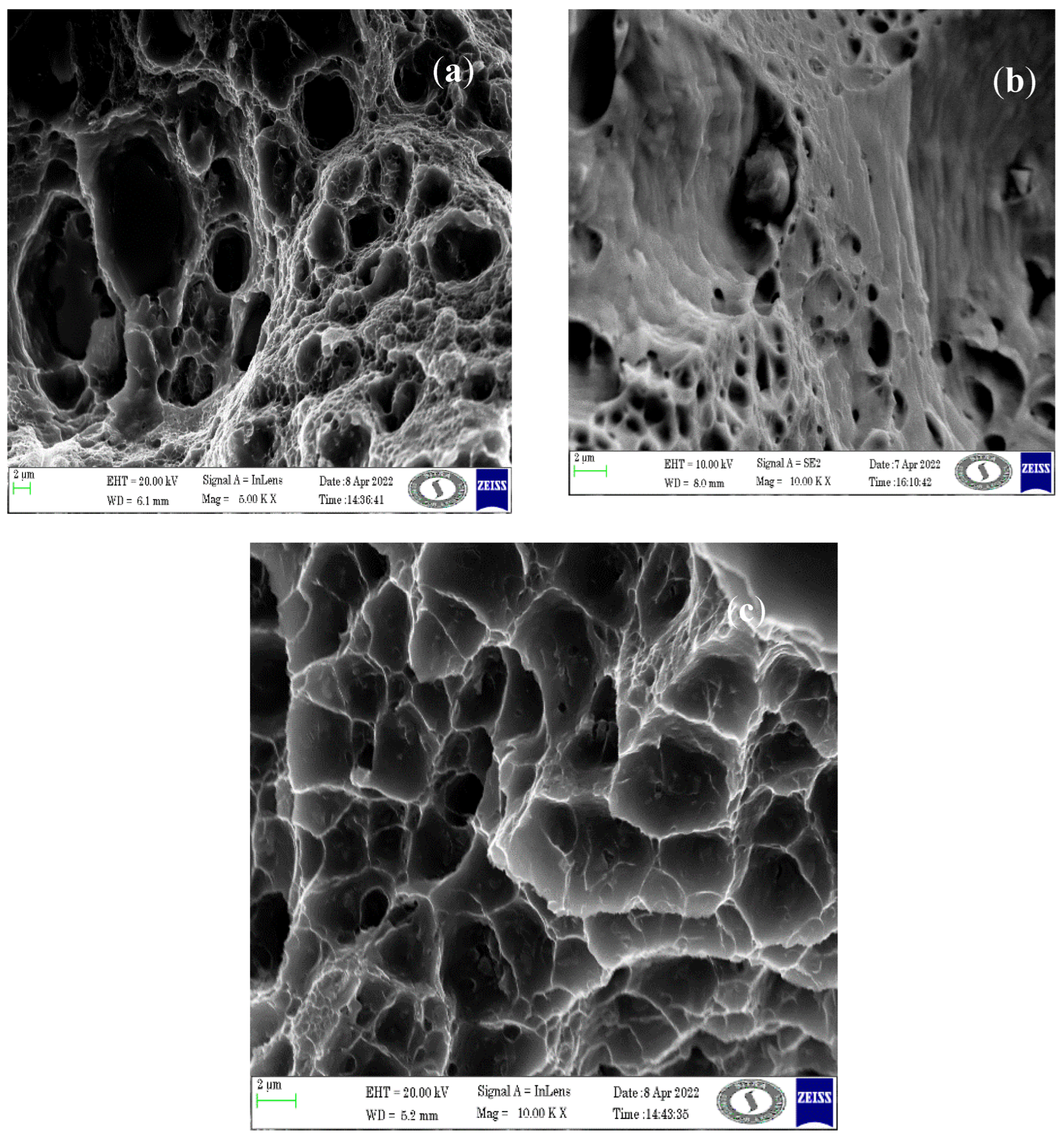 Materials 16 04131 g004 Materials 16 04131 g004