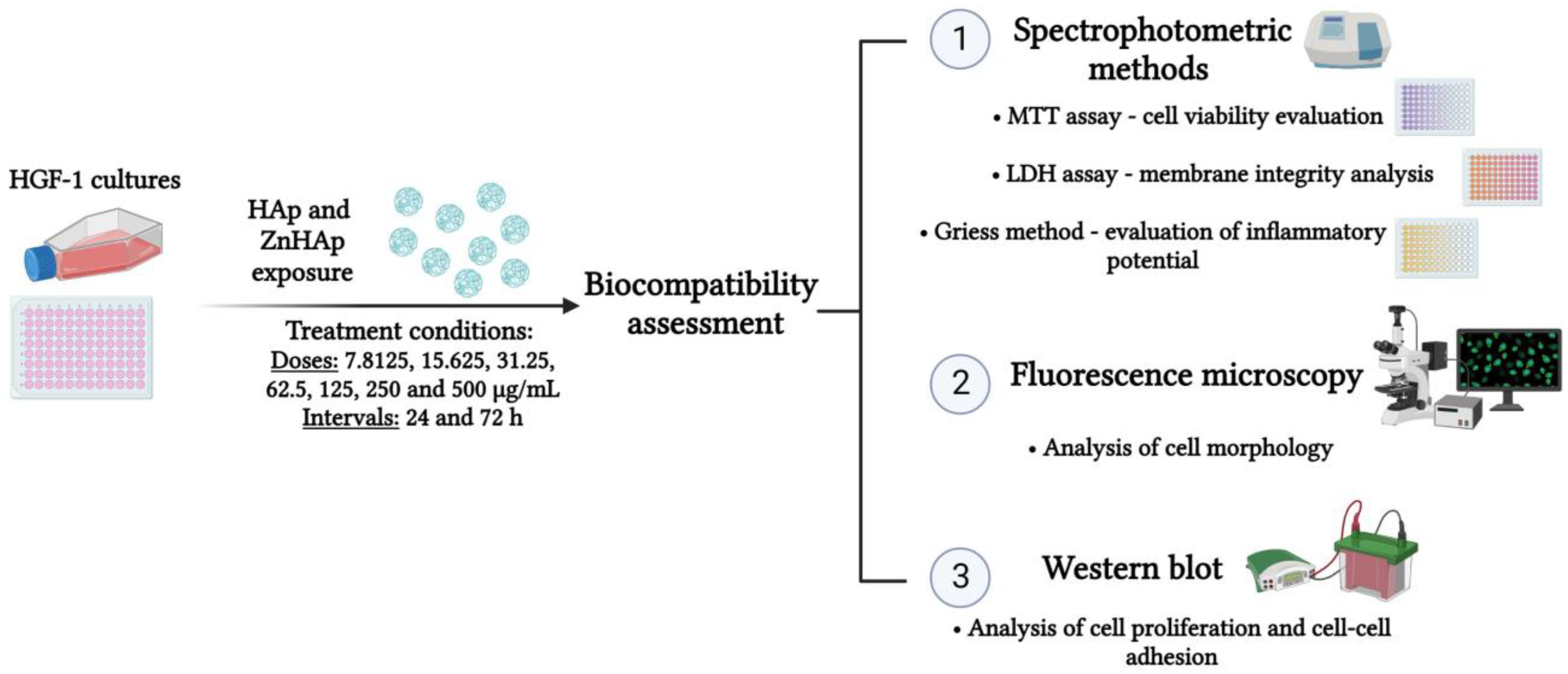 Materials 16 04145 g001 Materials 16 04145 g001