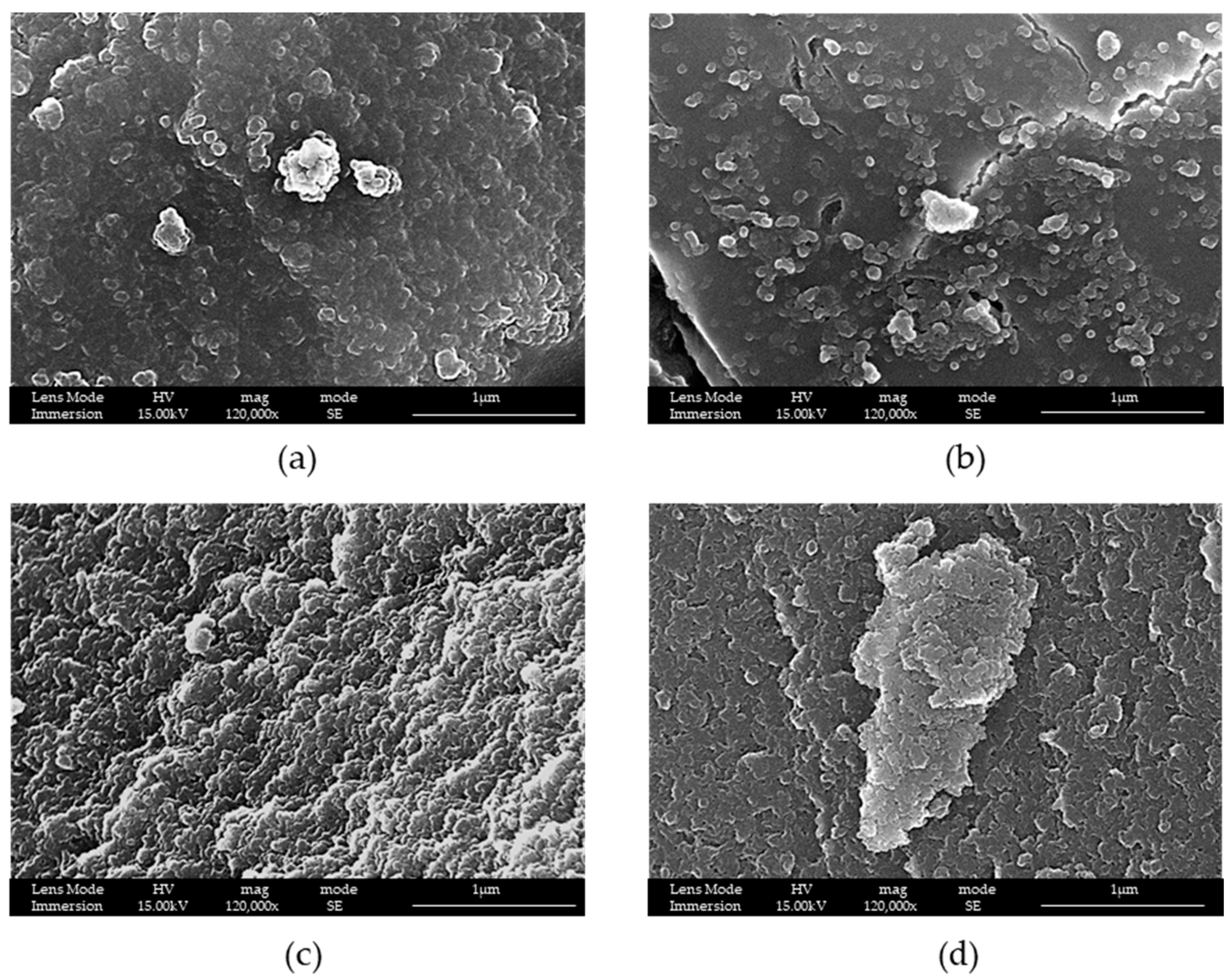 Materials 16 04151 g003 Materials 16 04151 g003