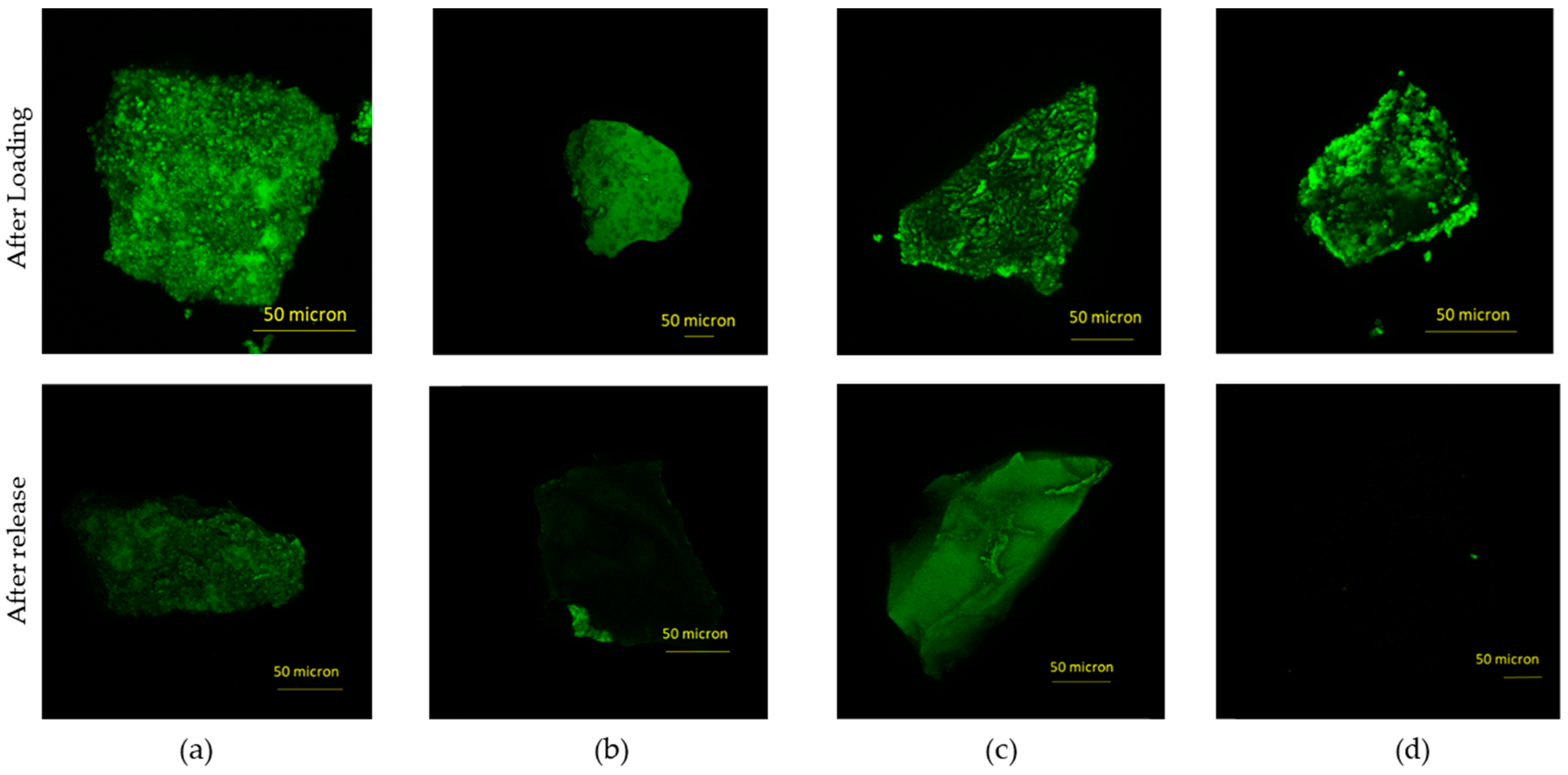 Materials 16 04151 g018 Materials 16 04151 g018