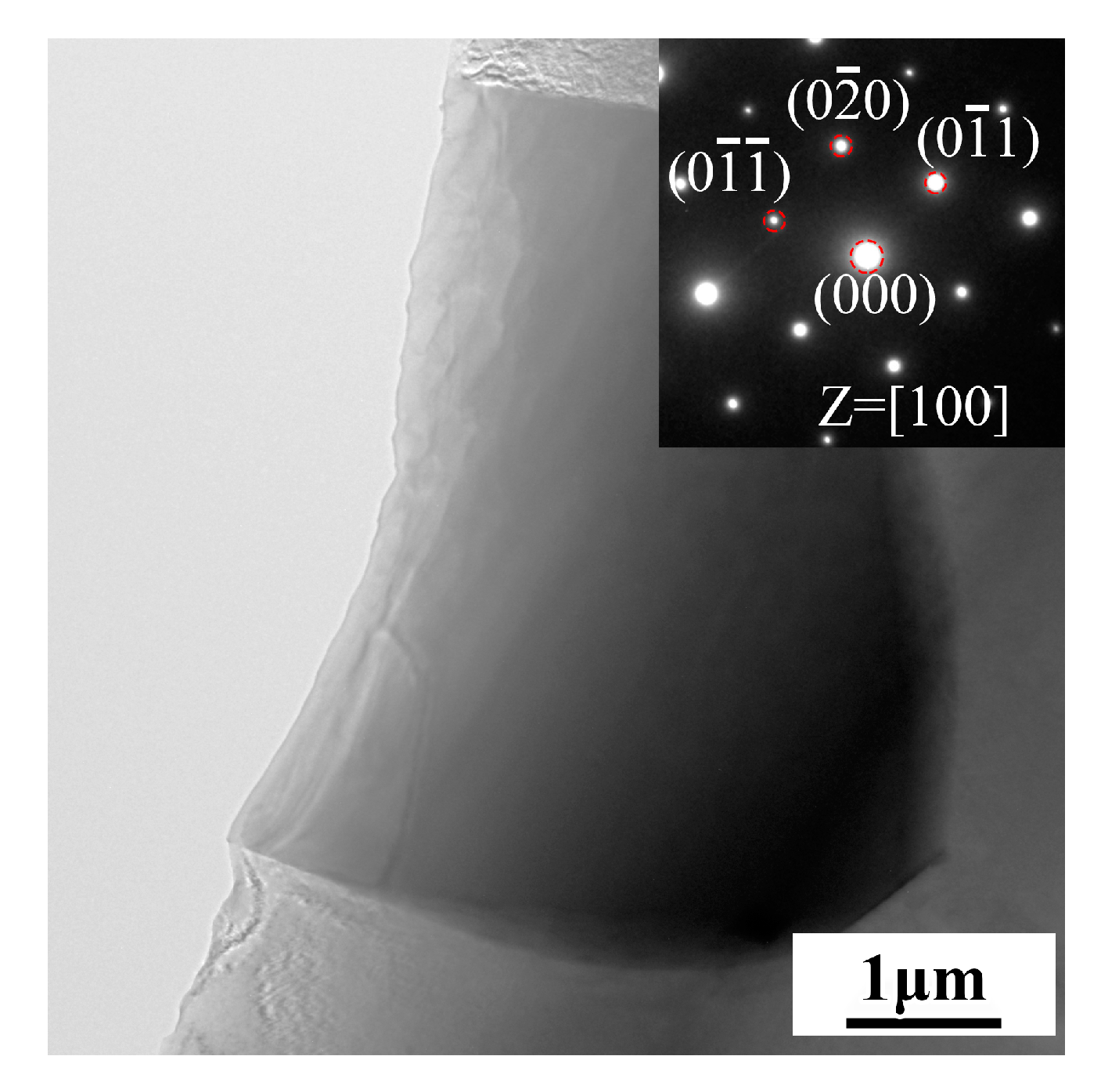 Materials 16 04155 g006