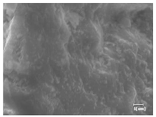 Materials 16 04168 i002 Materials 16 04168 i002