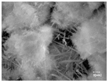 Materials 16 04168 i017 Materials 16 04168 i017