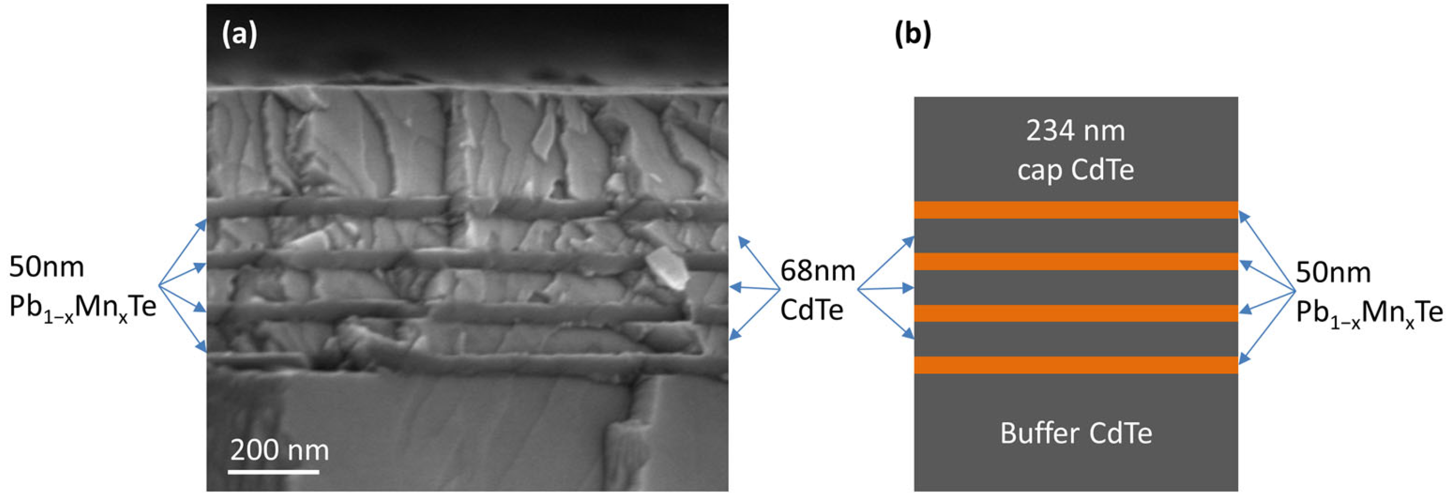 Materials 16 04211 g002