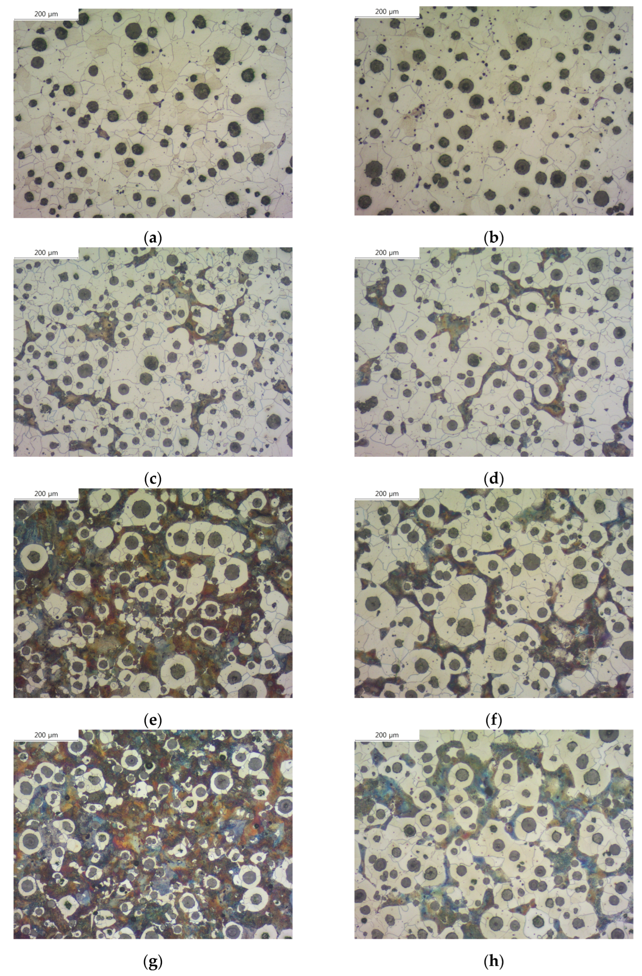 Materials 16 04225 g002