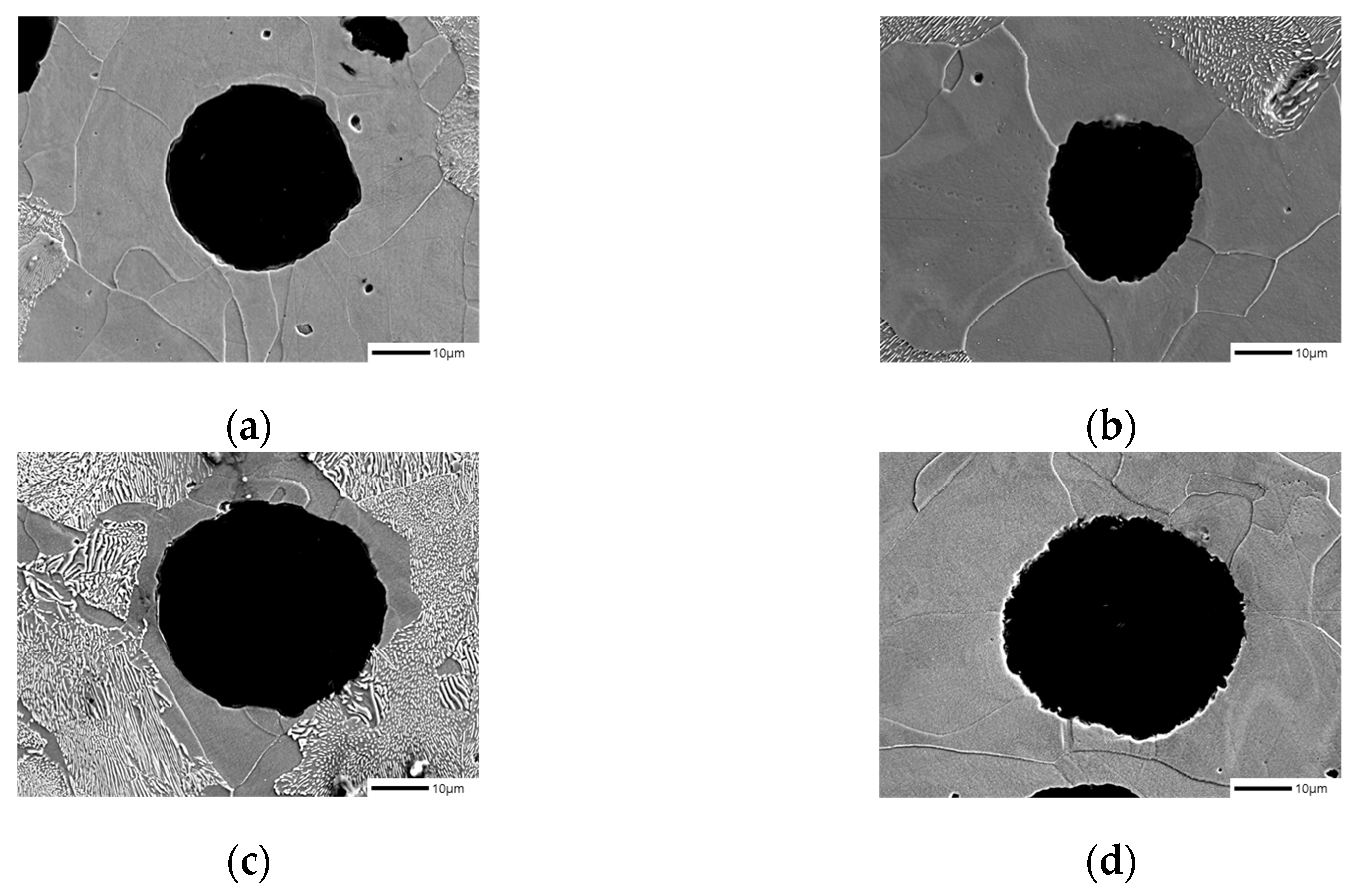 Materials 16 04225 g003