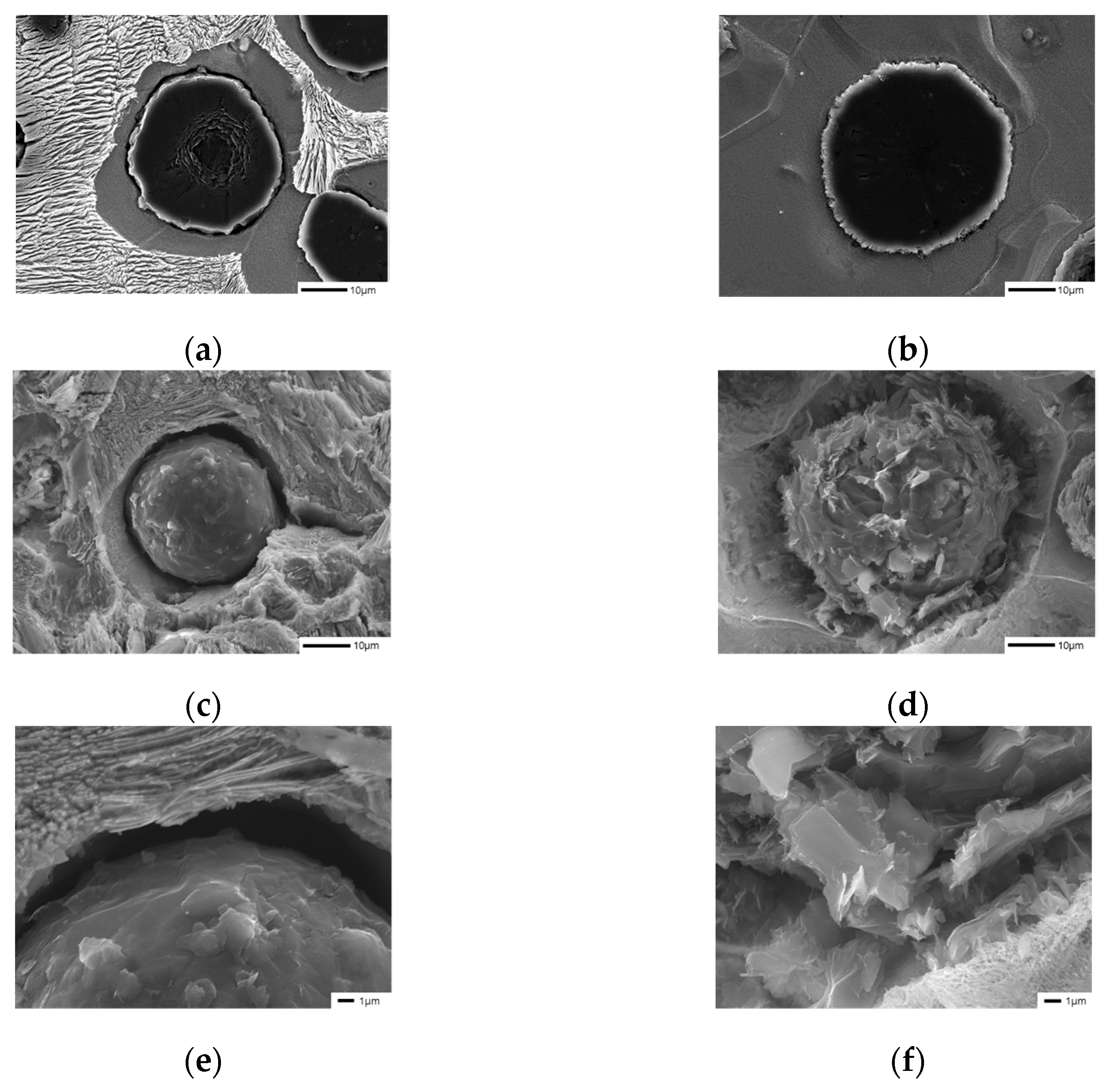 Materials 16 04225 g004