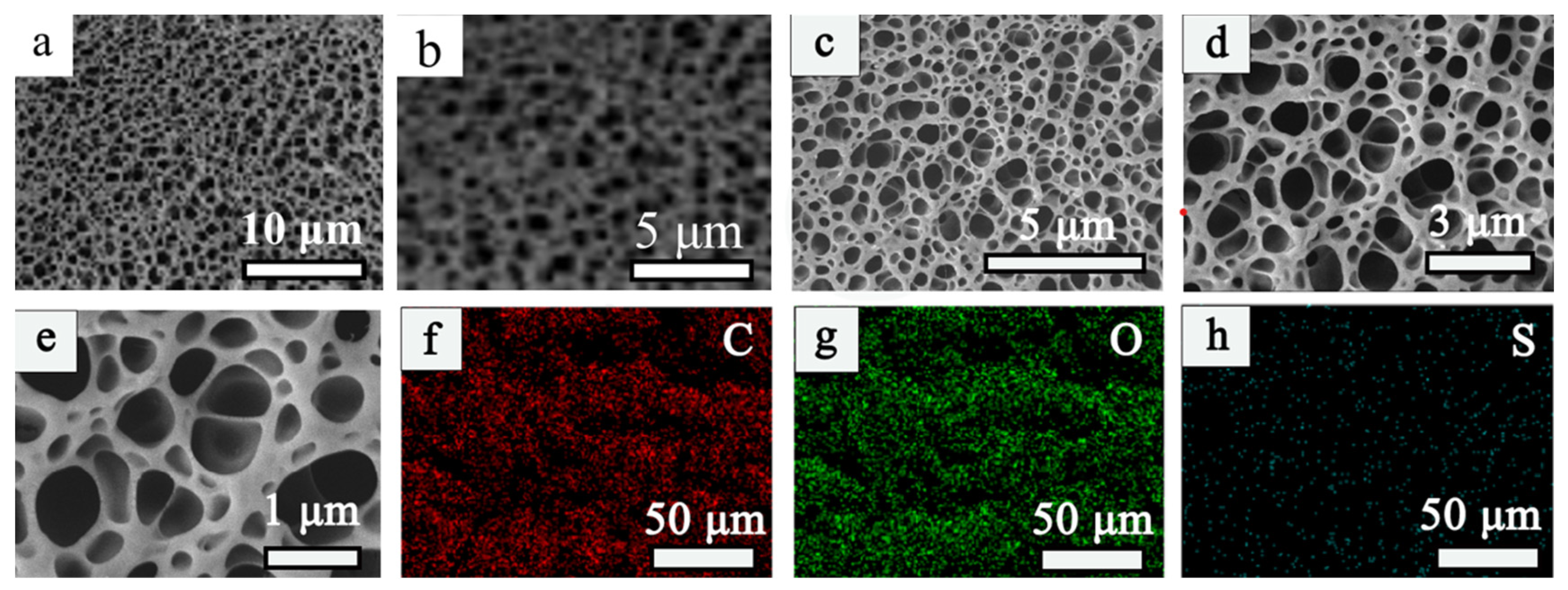 Materials 16 04260 g001