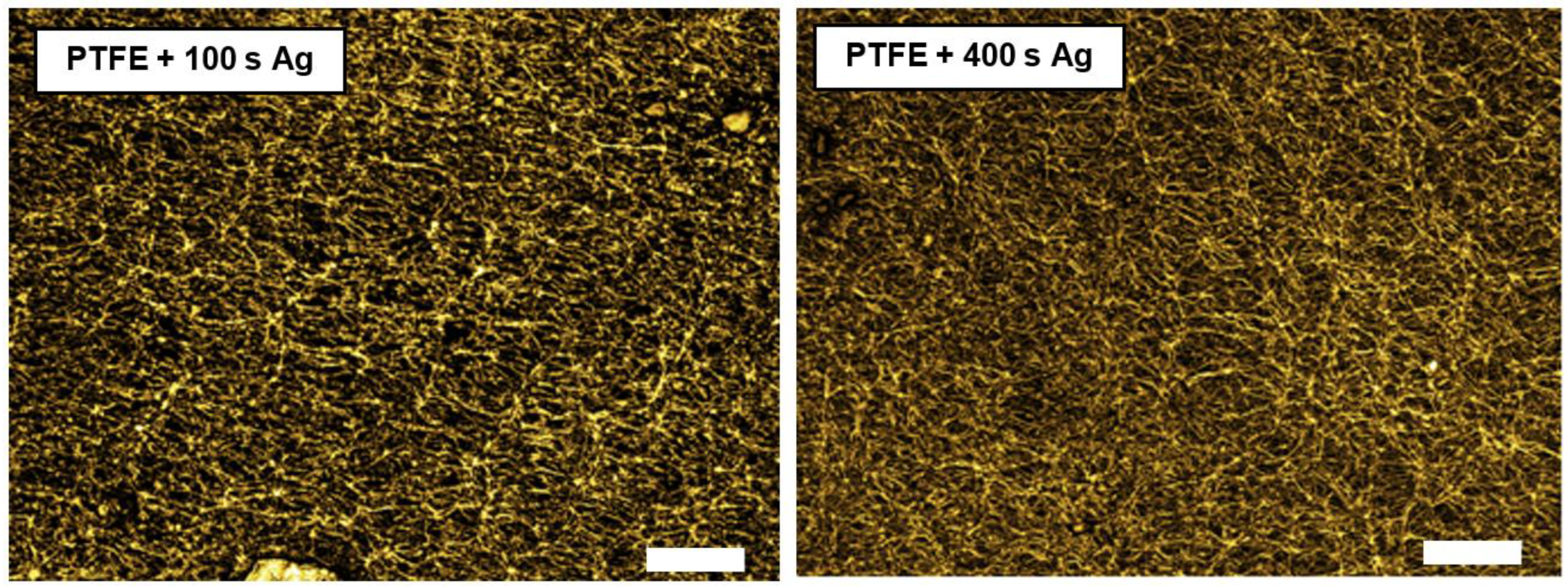 Materials 16 04280 g003