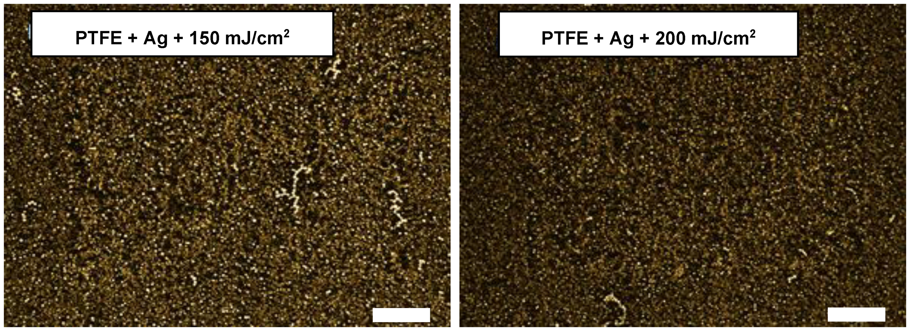 Materials 16 04280 g005