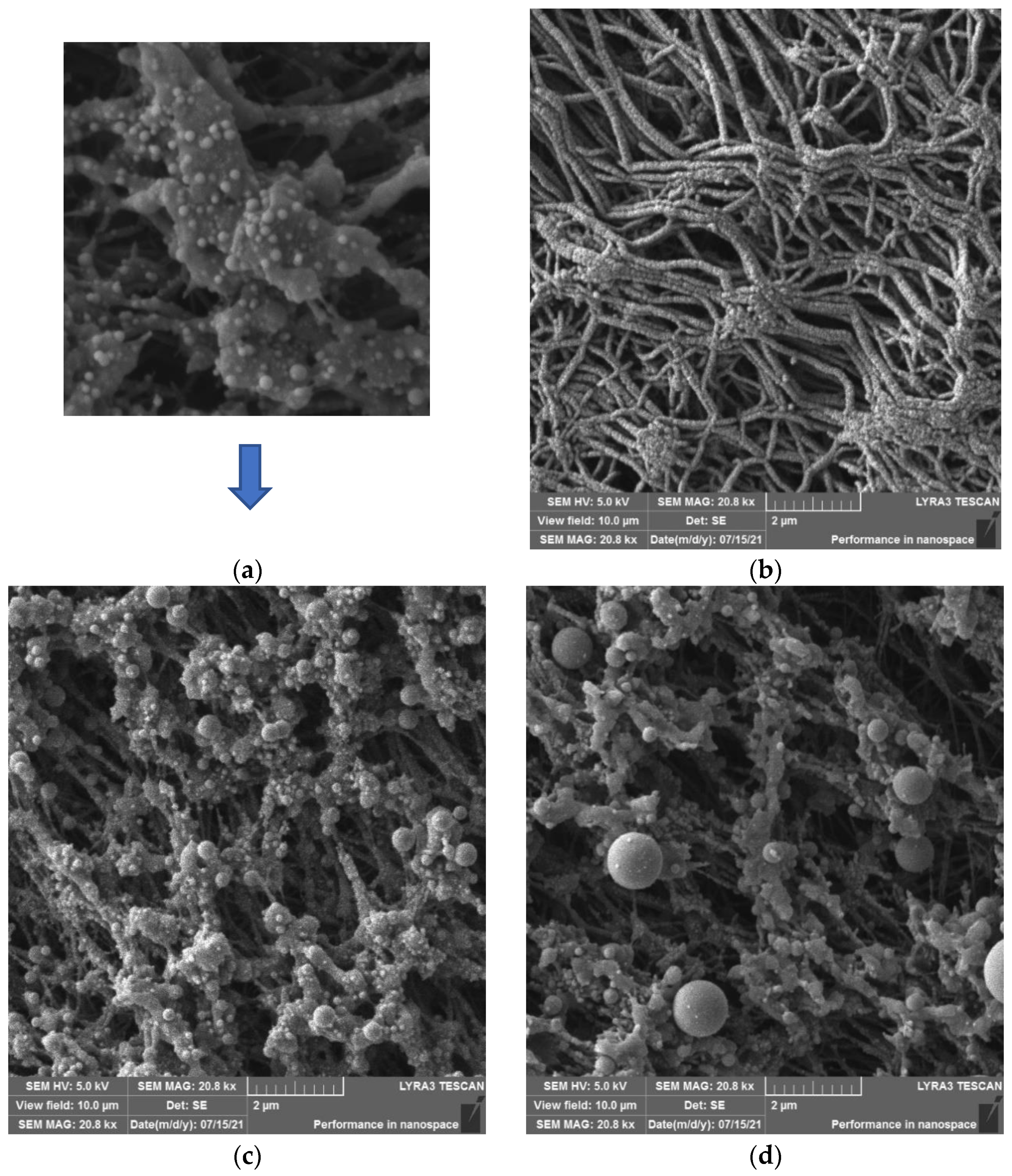 Materials 16 04280 g009