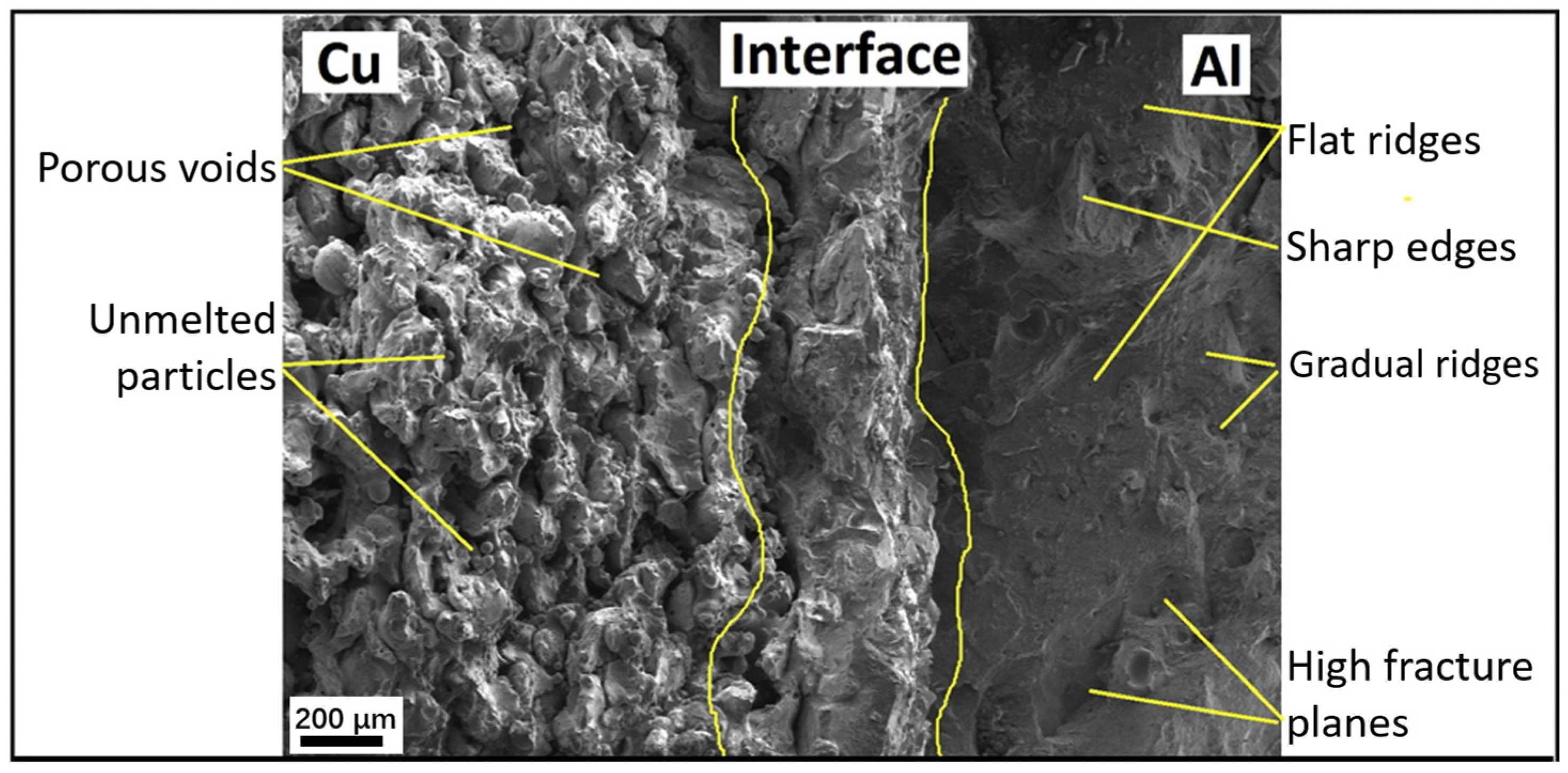 Materials 16 04287 g011