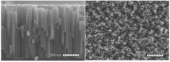 Materials 16 04297 g004