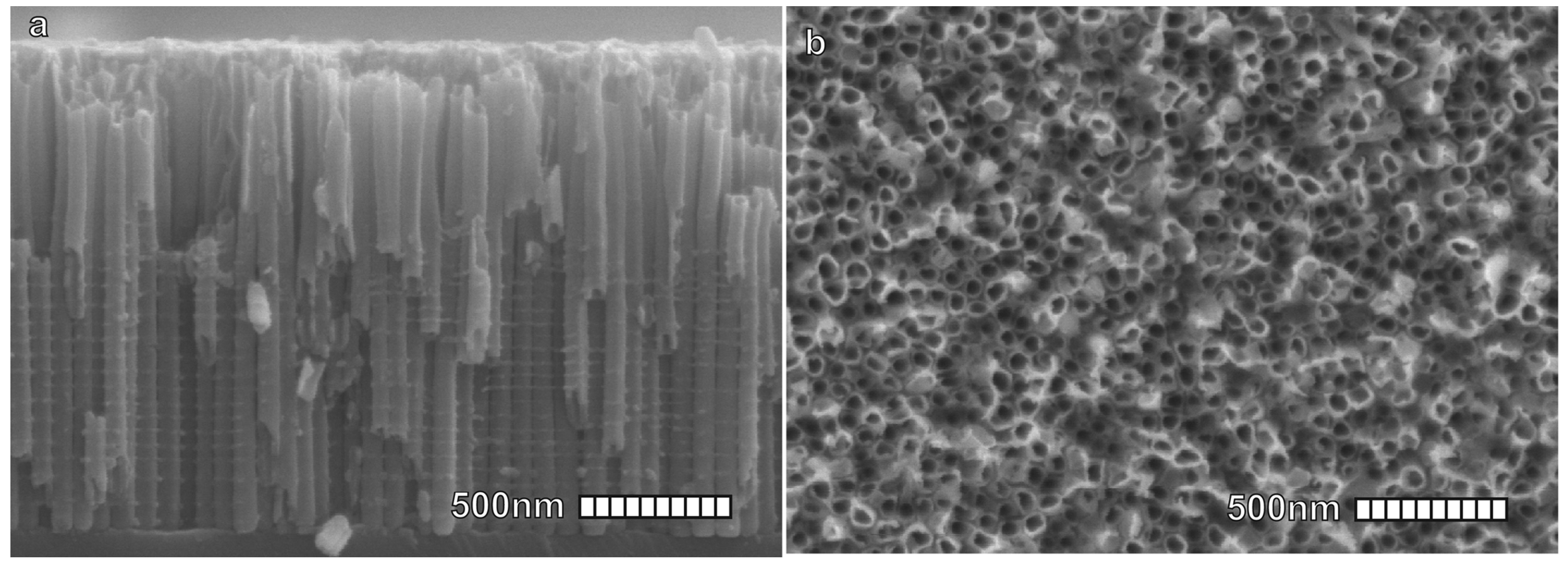 Materials 16 04297 g004