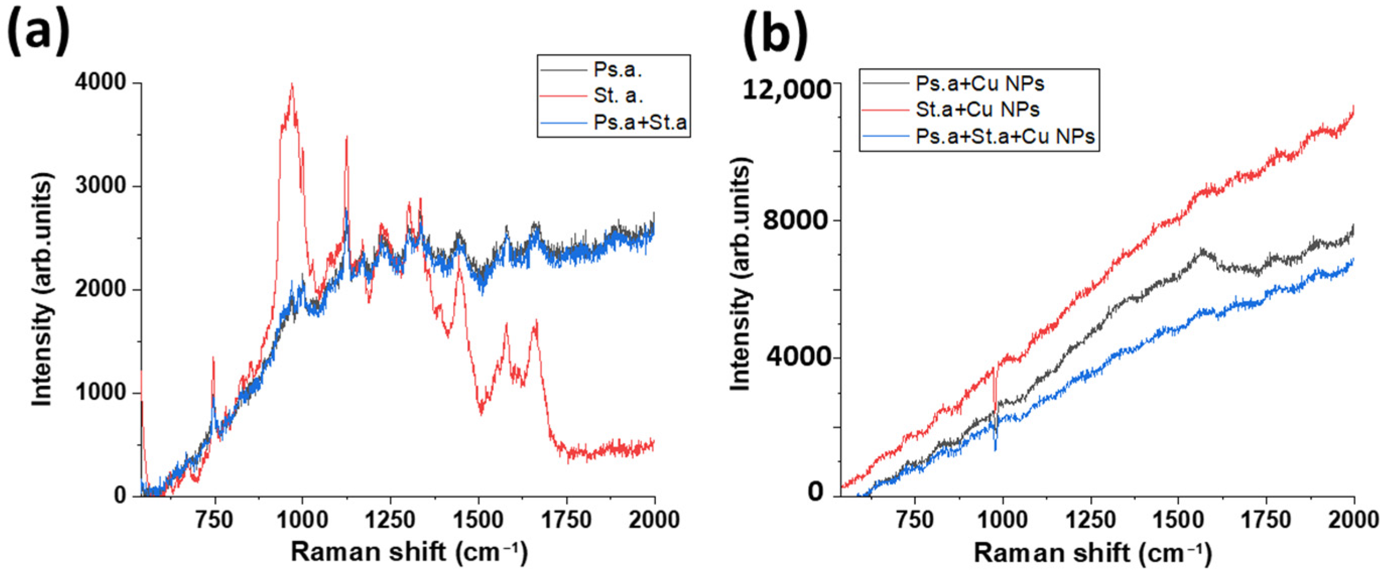 Materials 16 04309 g006