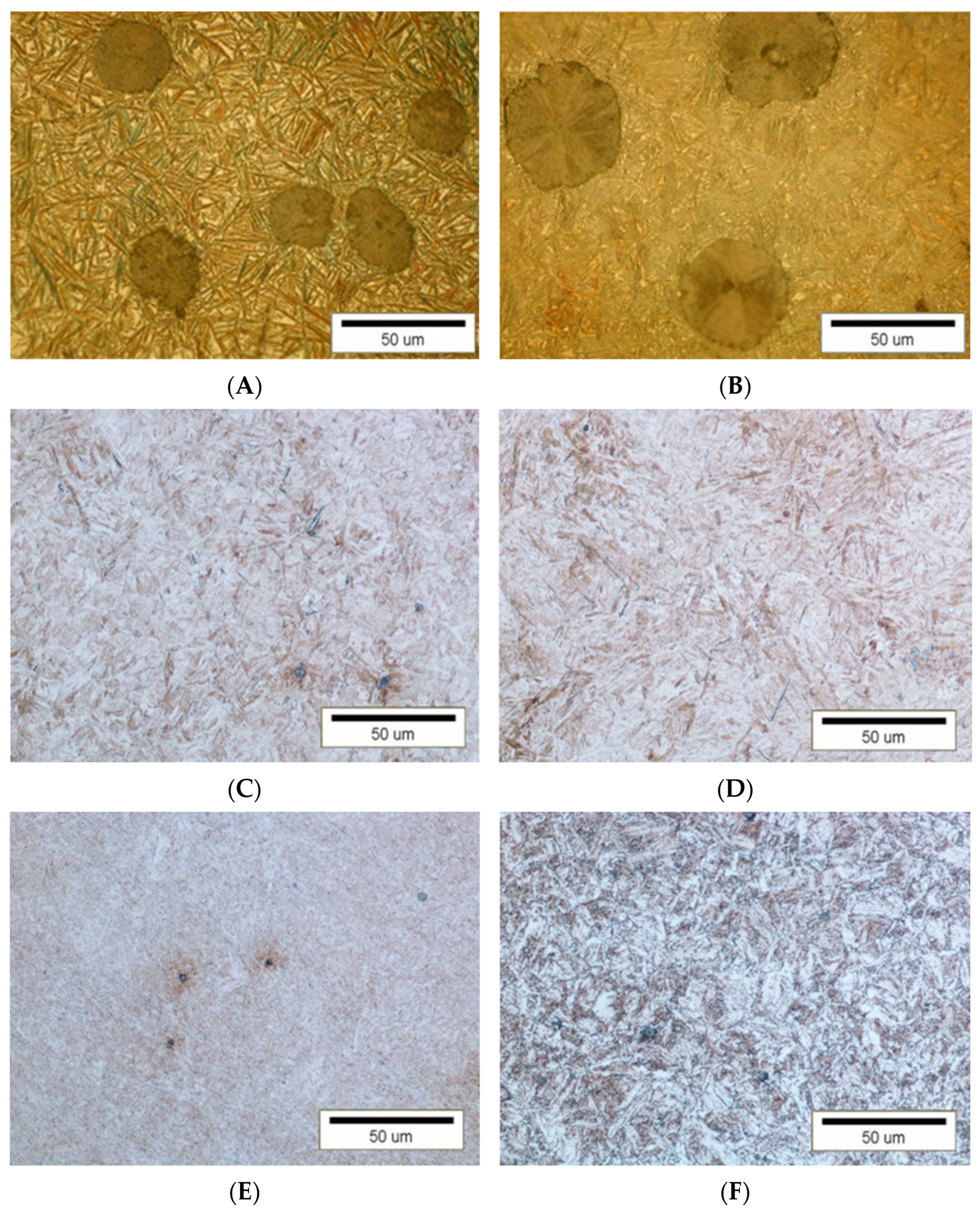 Materials 16 04311 g006