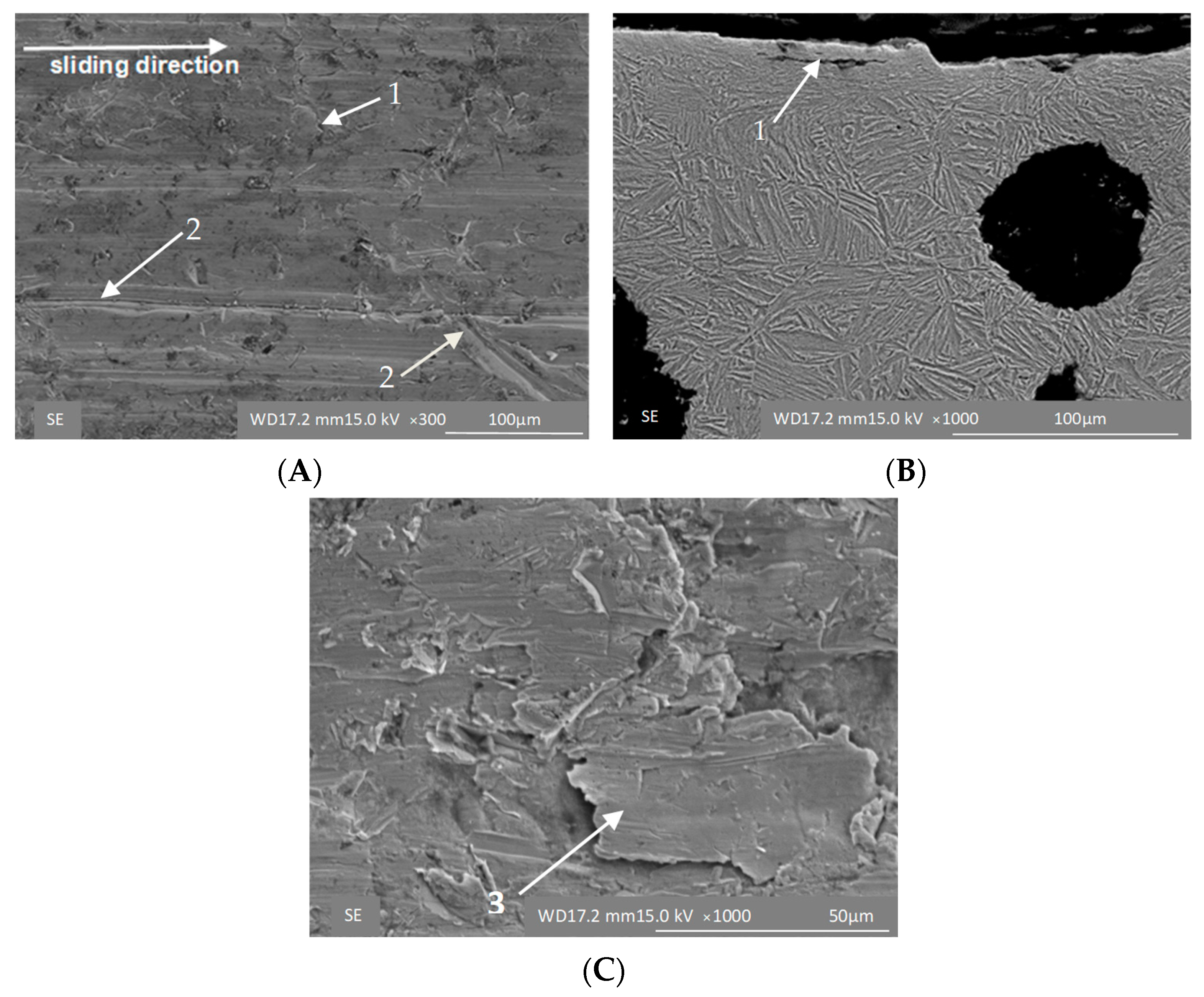 Materials 16 04311 g010