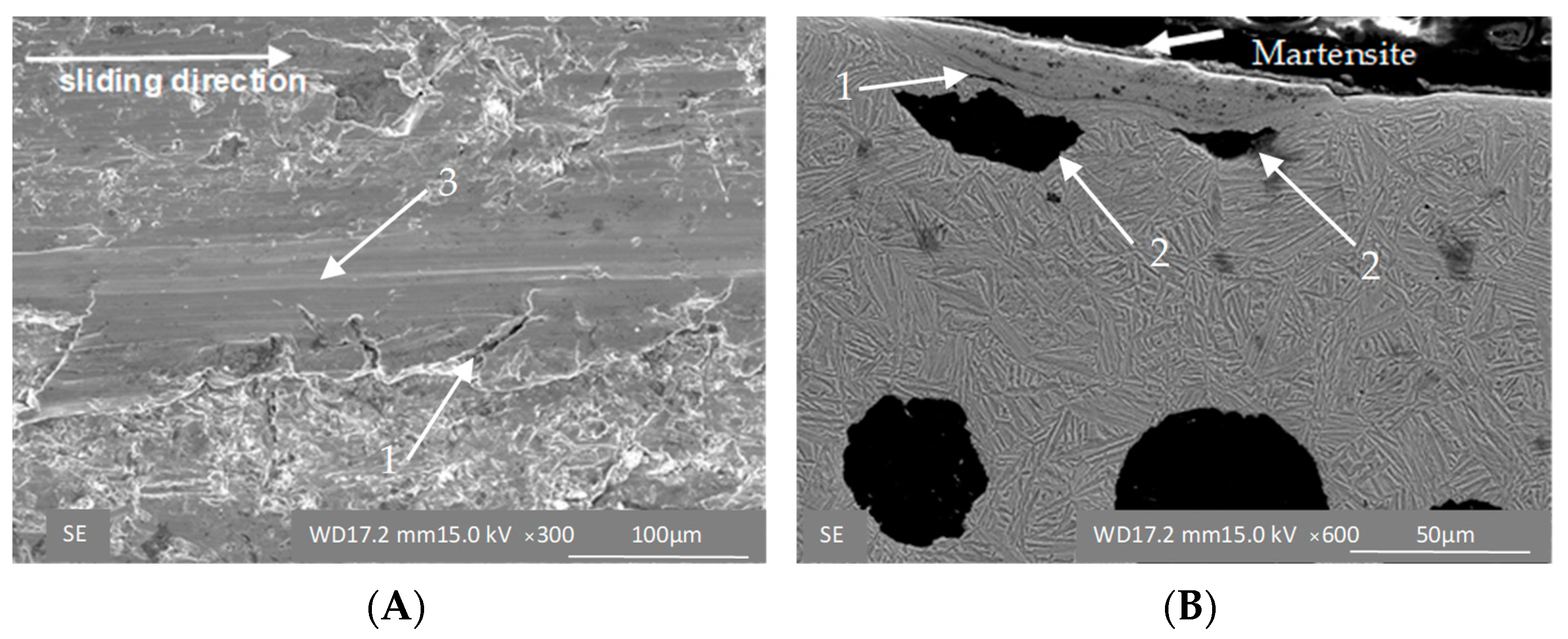 Materials 16 04311 g011
