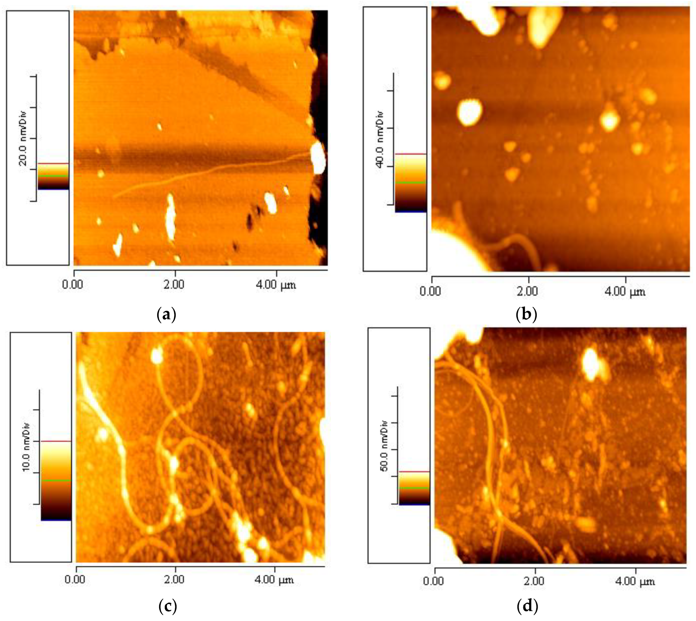 Materials 16 04313 g003