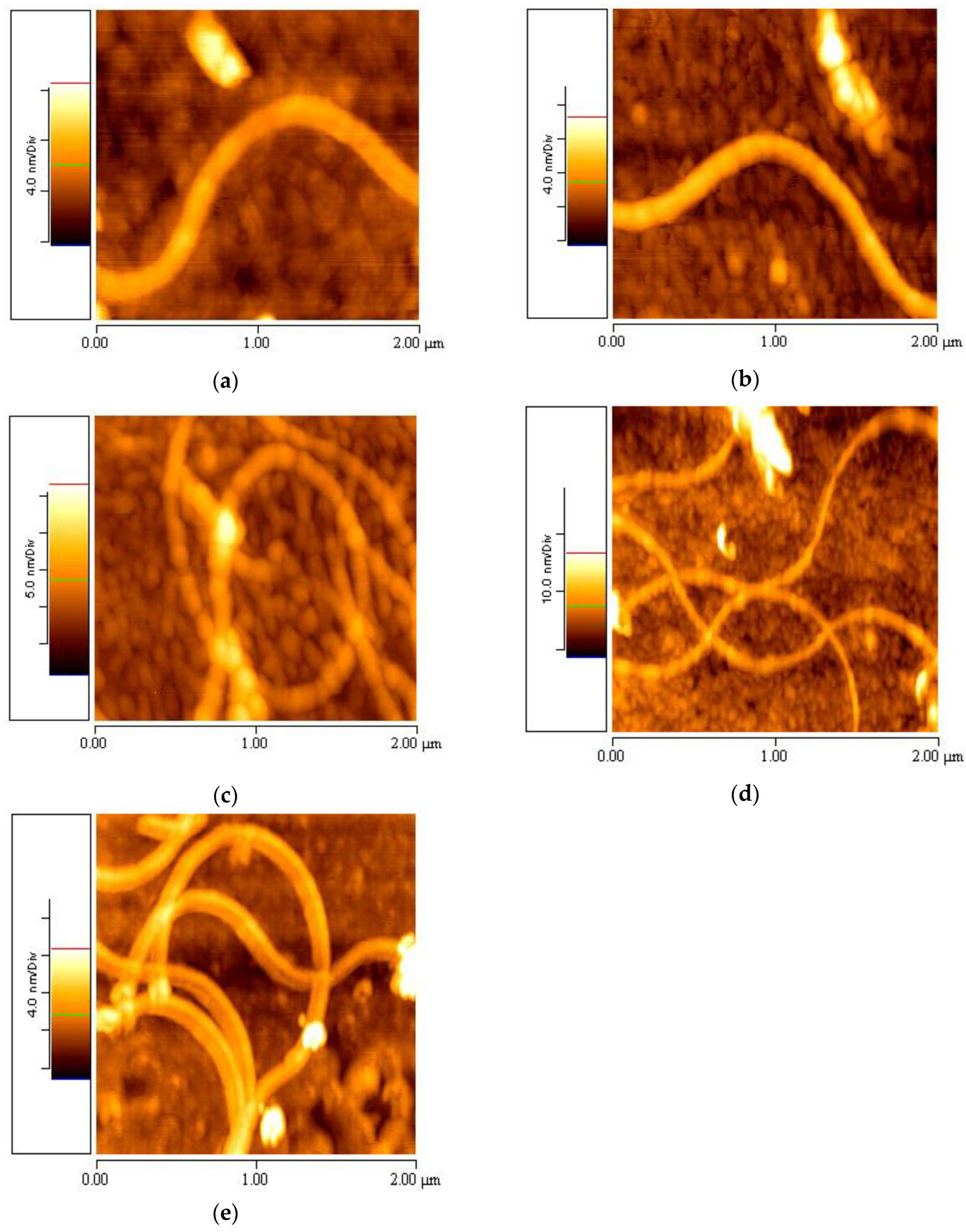 Materials 16 04313 g005