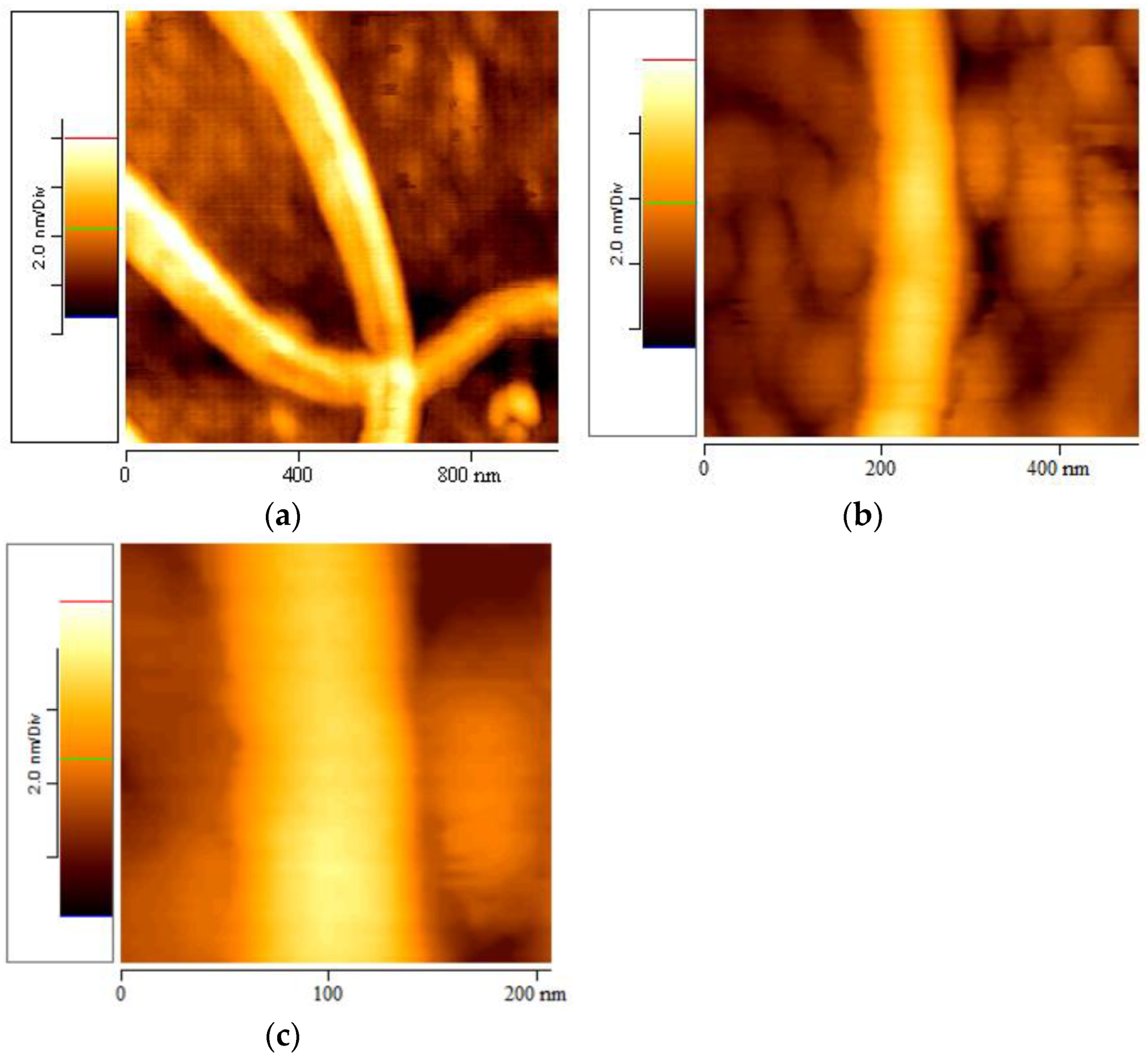 Materials 16 04313 g006