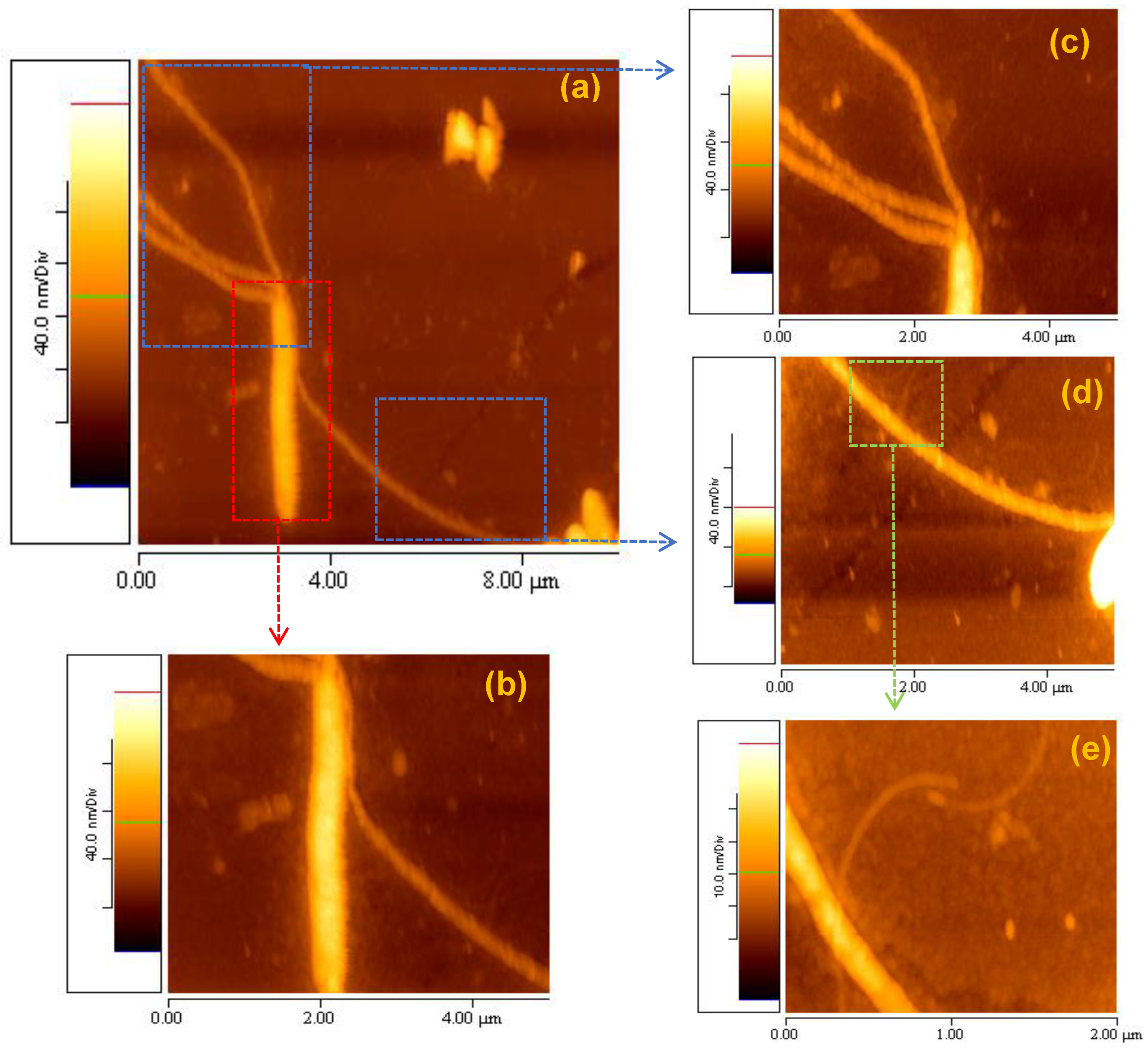 Materials 16 04313 g010
