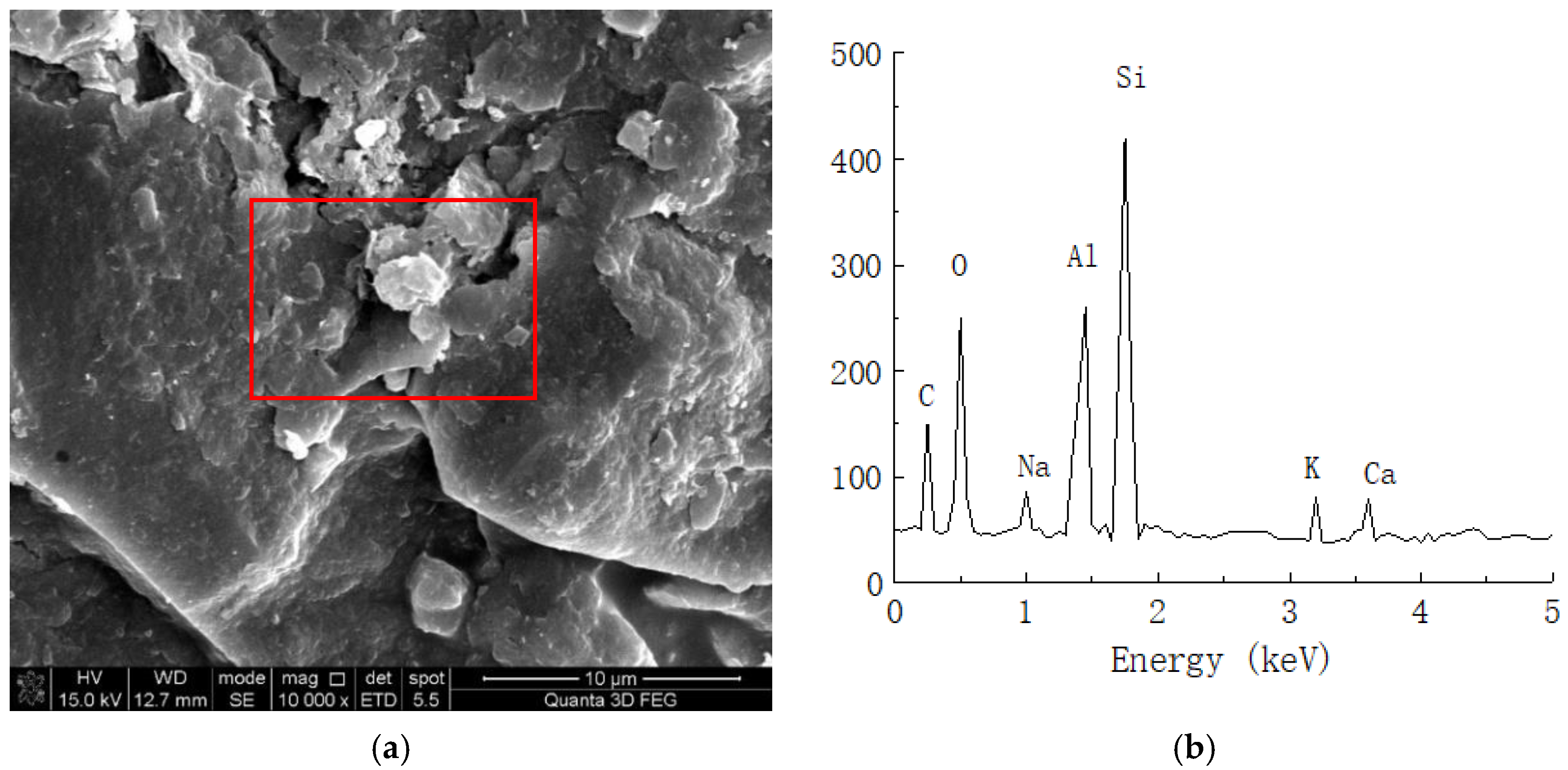Materials 16 04316 g010