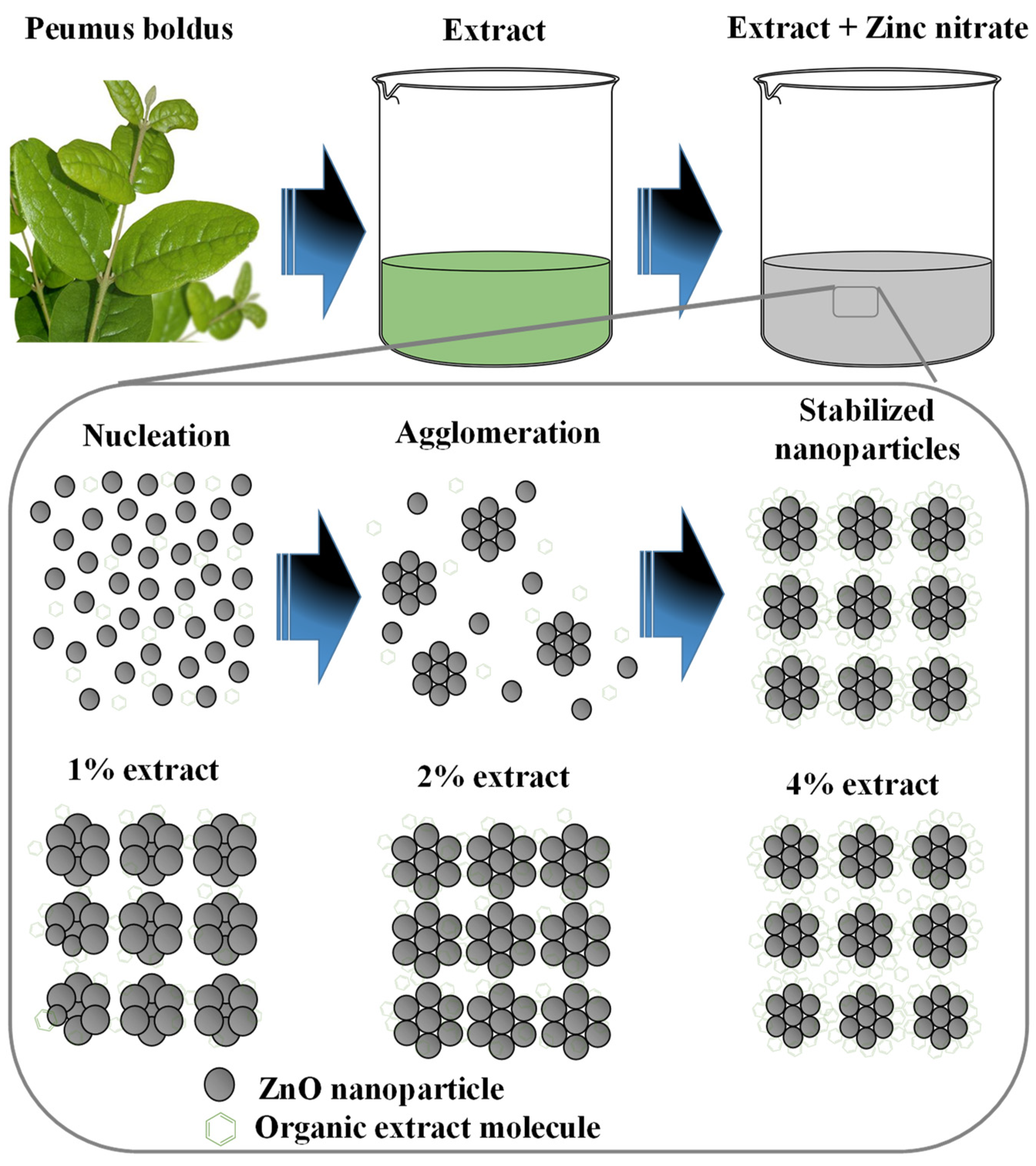 Materials 16 04344 g010