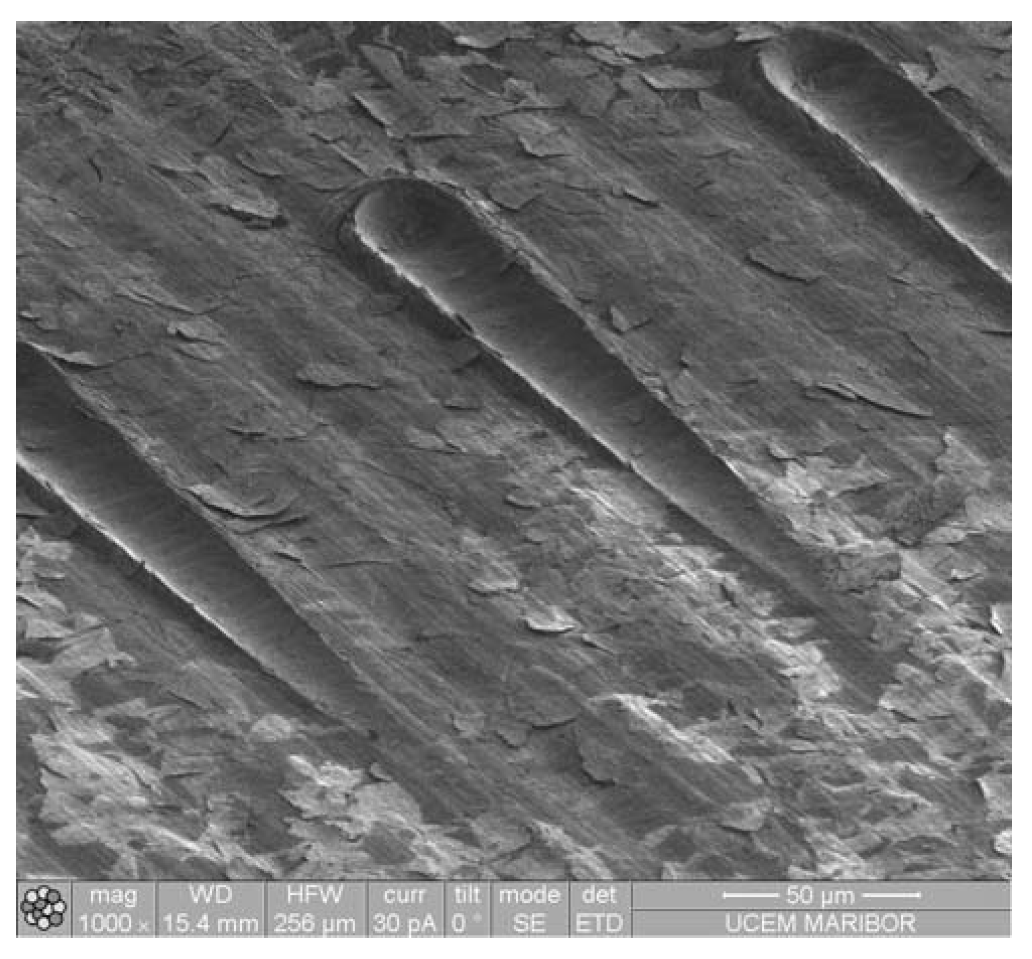 Materials 16 04365 g010