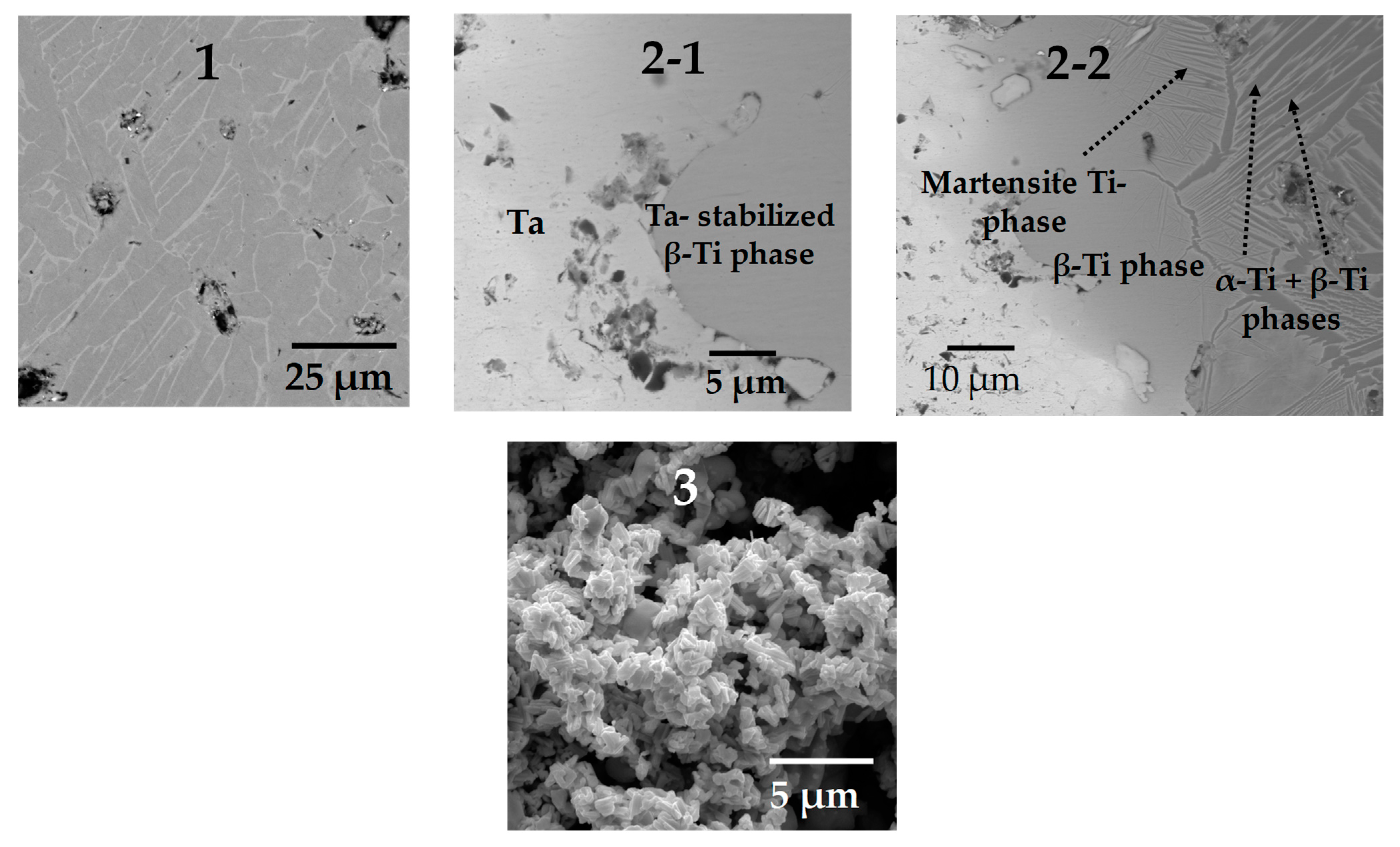 Materials 16 04372 g007 Materials 16 04372 g007